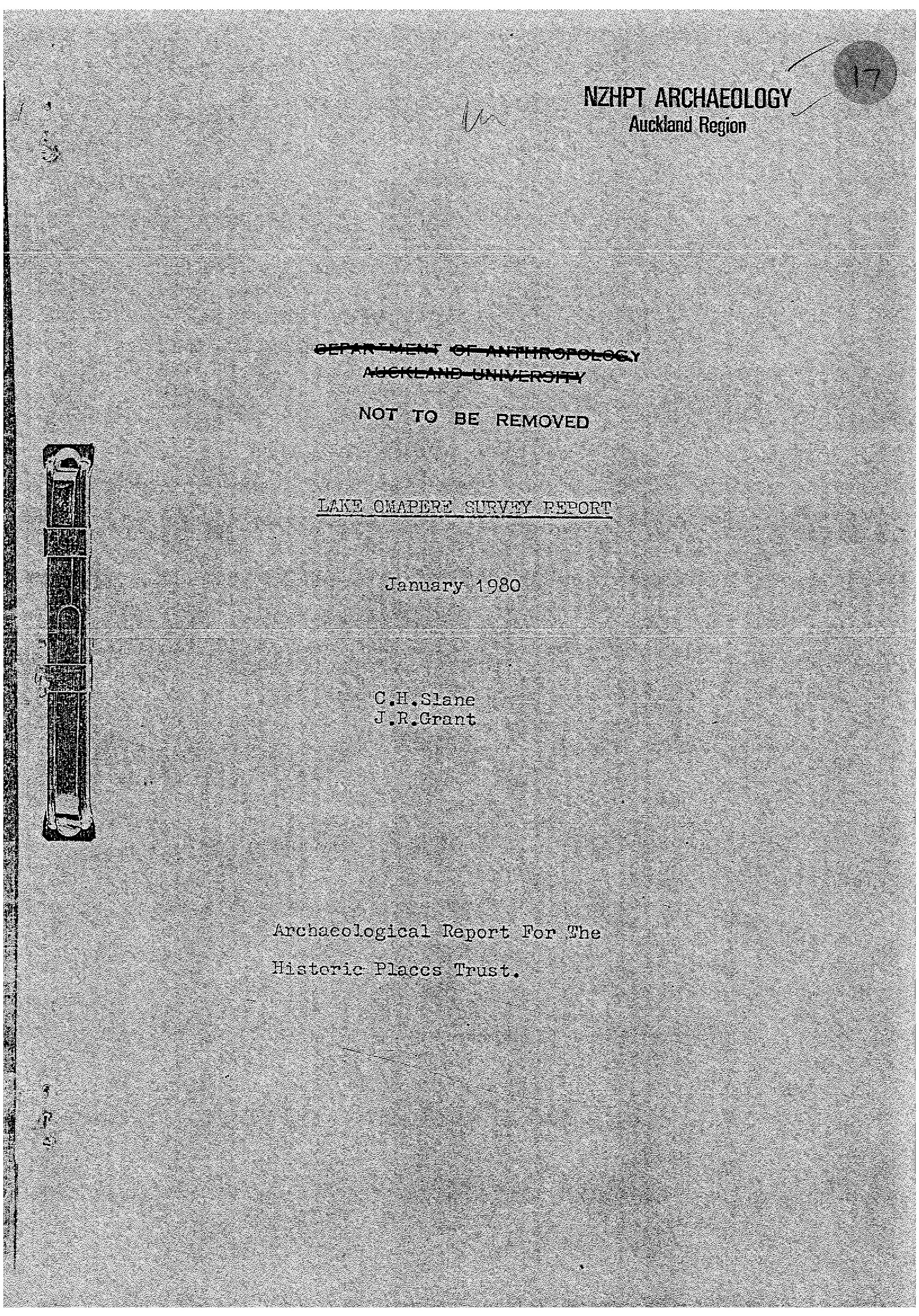 Lake Omapere survey report