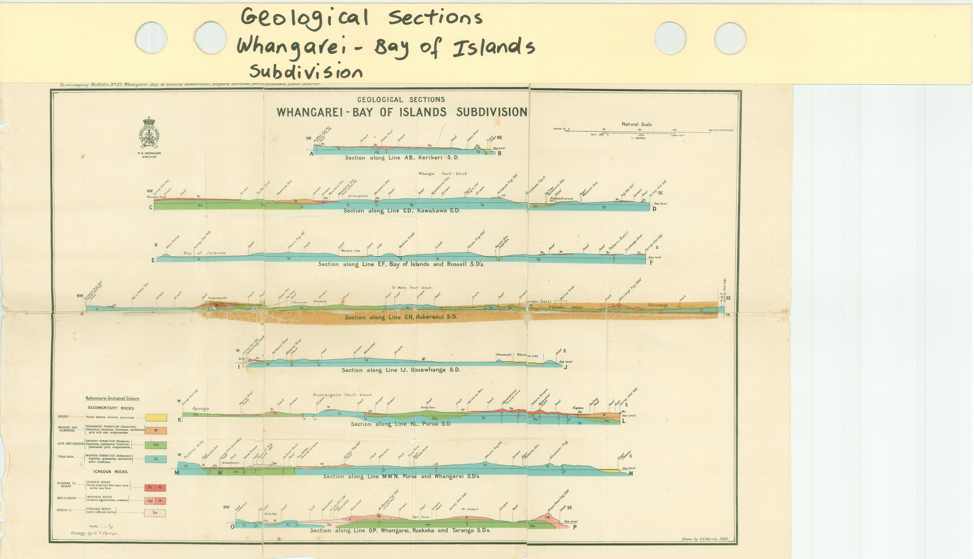 Geological sections : Whangarei-Bay of Islands subdivision
