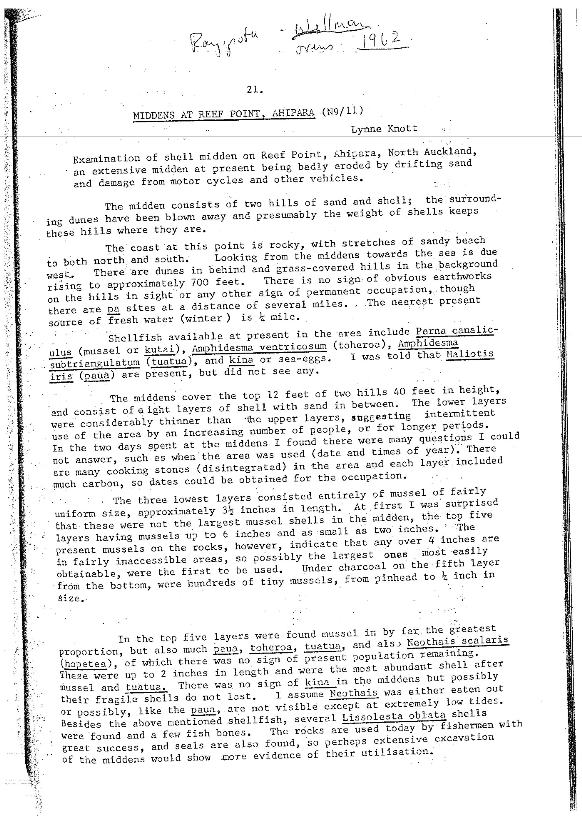 Middens at Reef Point, Ahipara