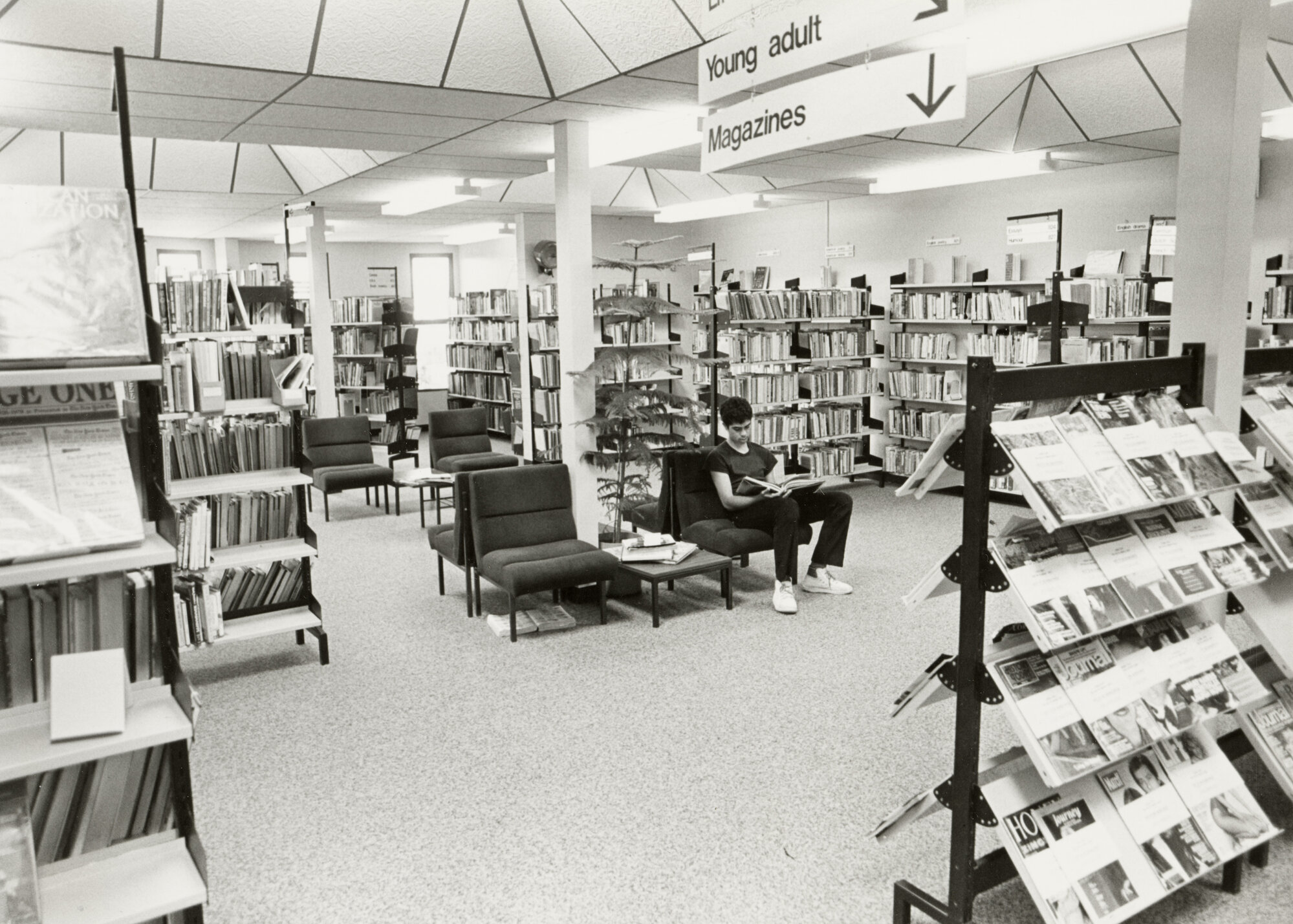 Whangarei Central Library's Reading Area 