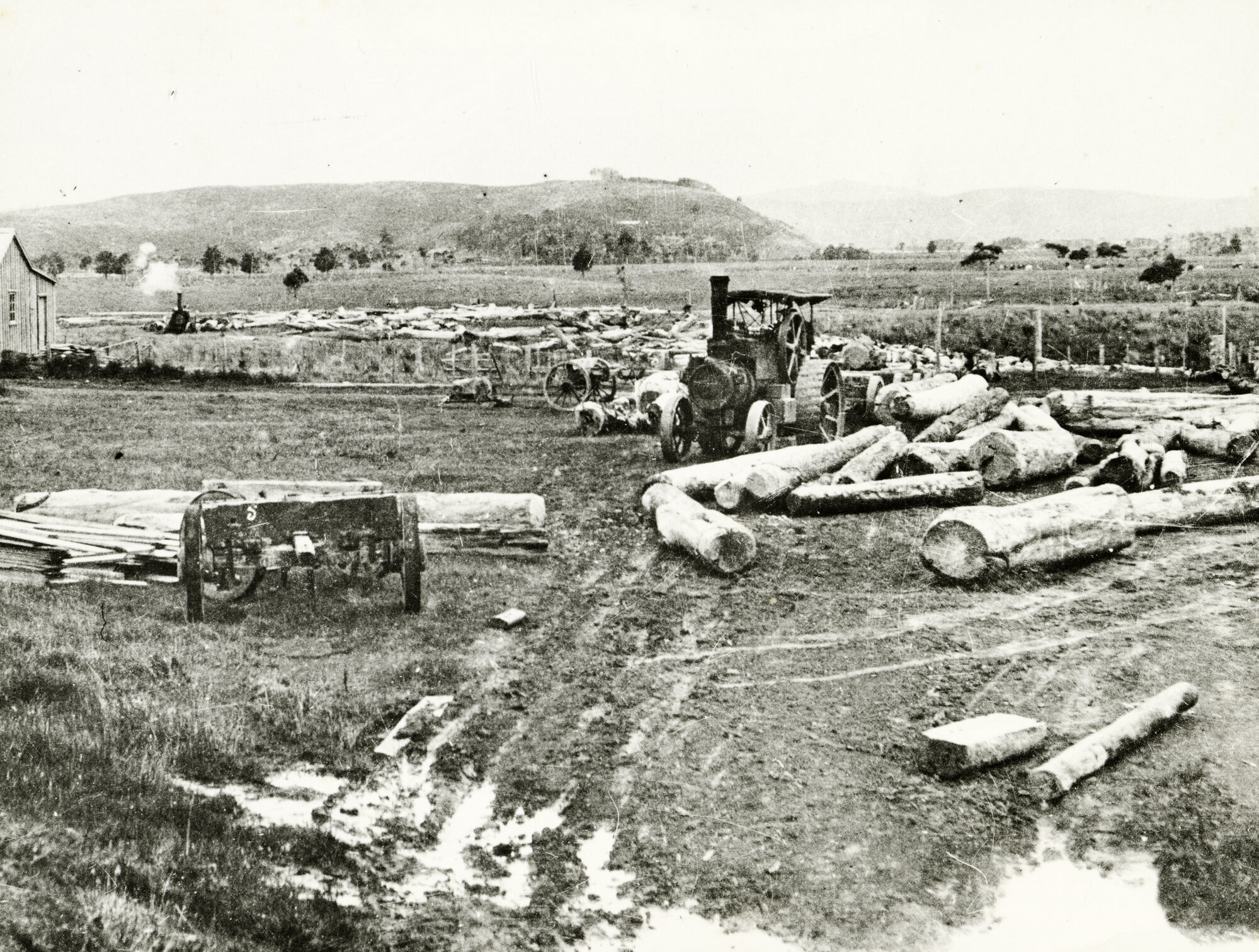 Whakapara Timber Mill