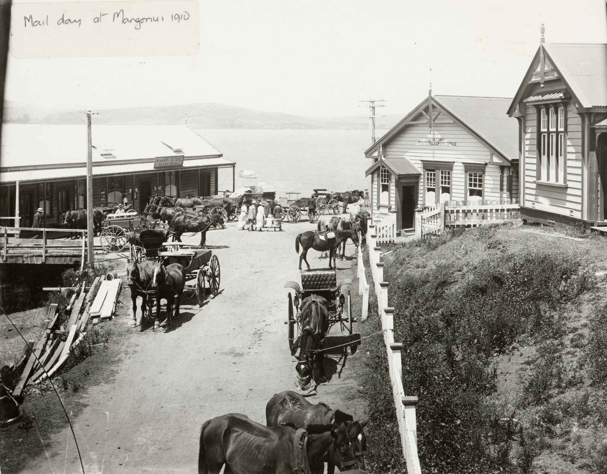 Mail Day at Mangonui 1910