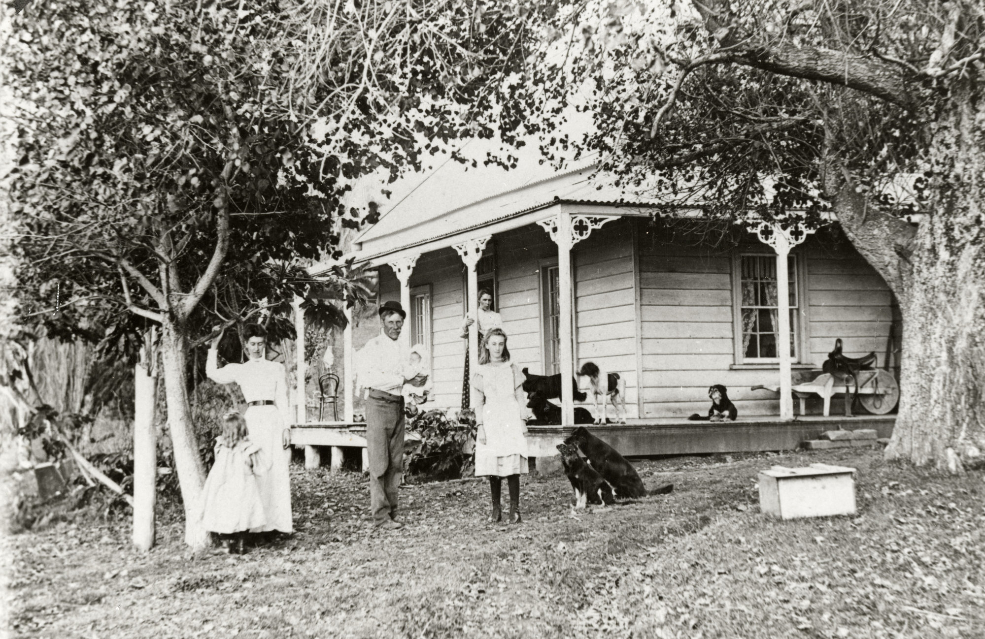 Old Aurere Homestead Overlooking Waitapu Beach