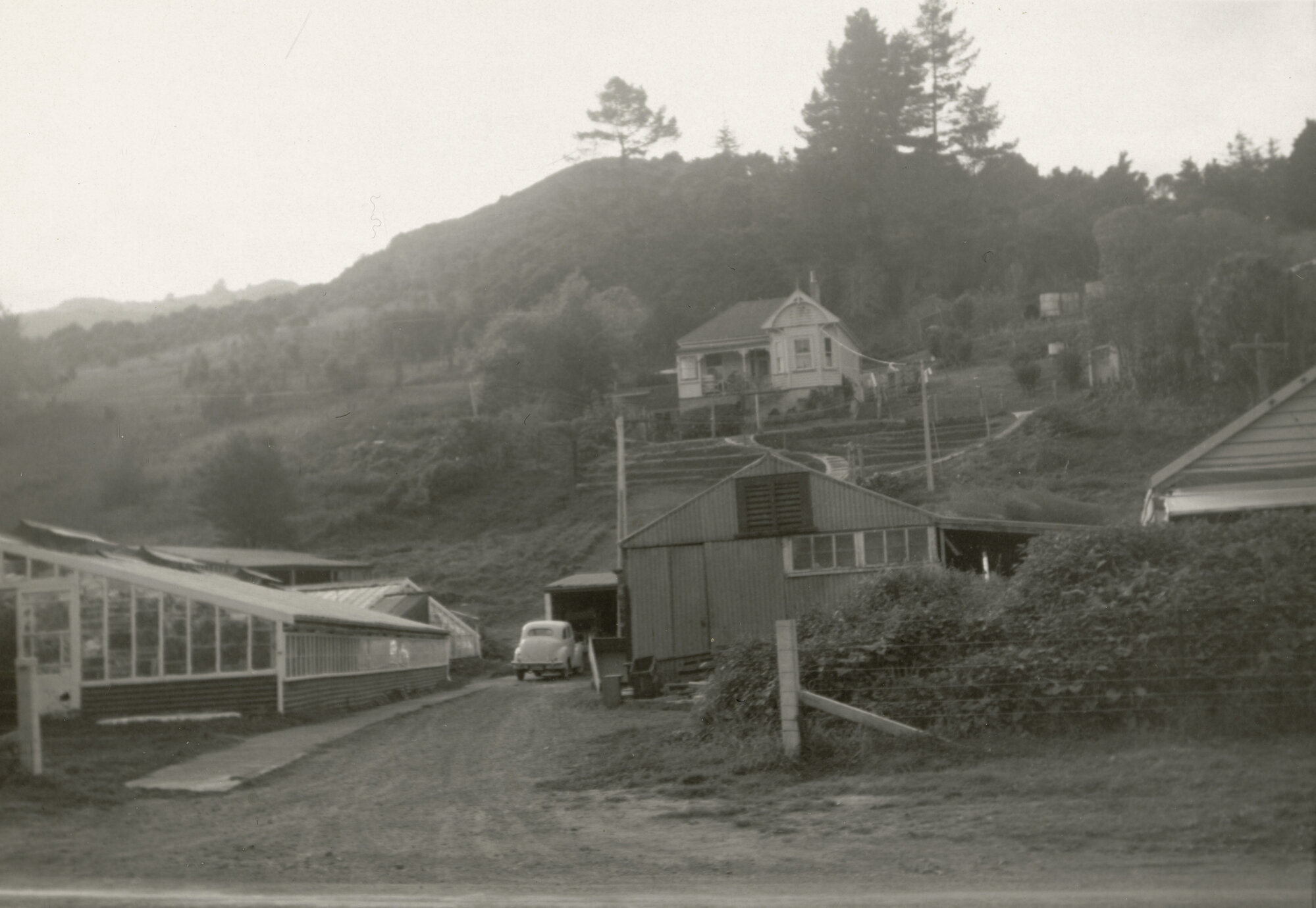 J. Cameron's House and Glasshouses, Maunu, Whangarei