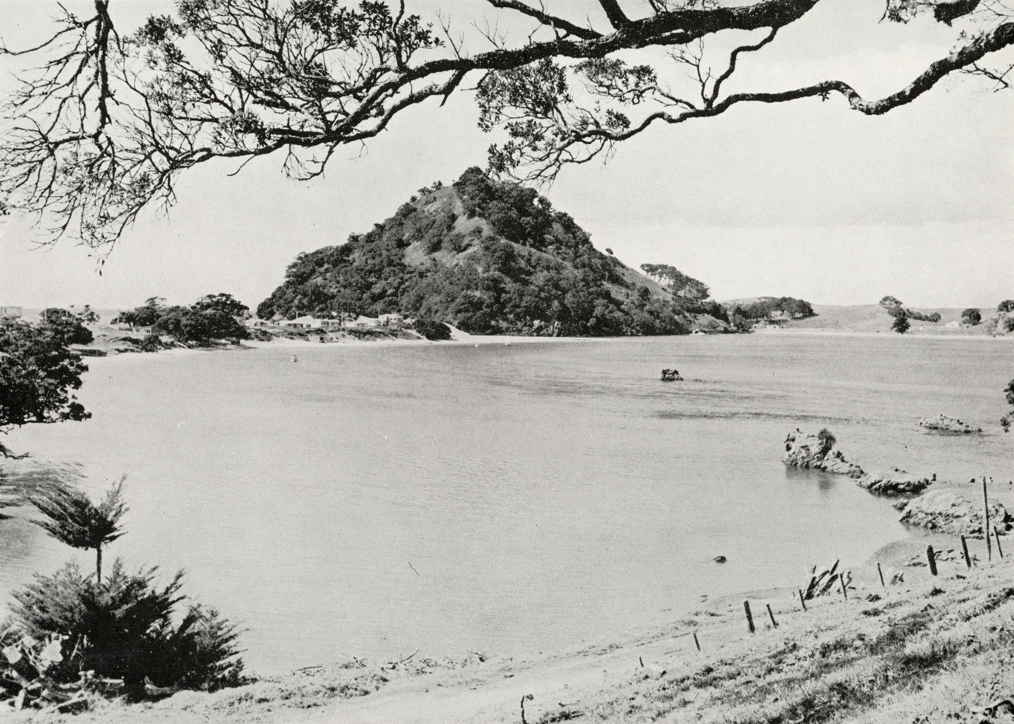 Pataua Showing Mahanga's Pa