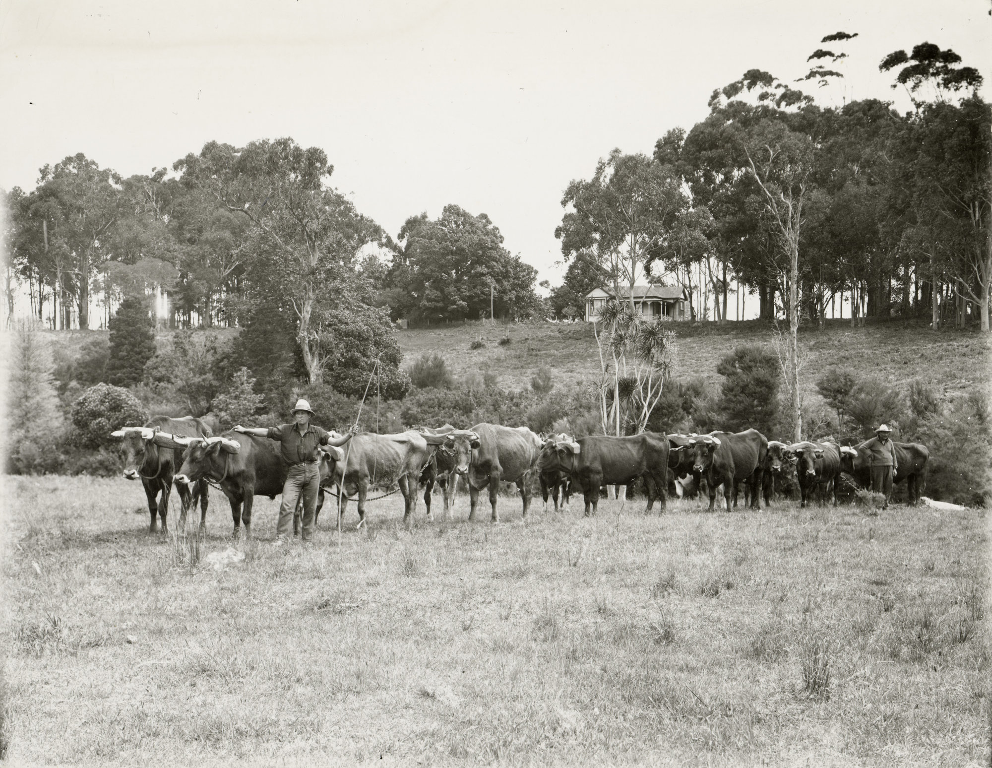 Summerville where R. H. Matthews Lived