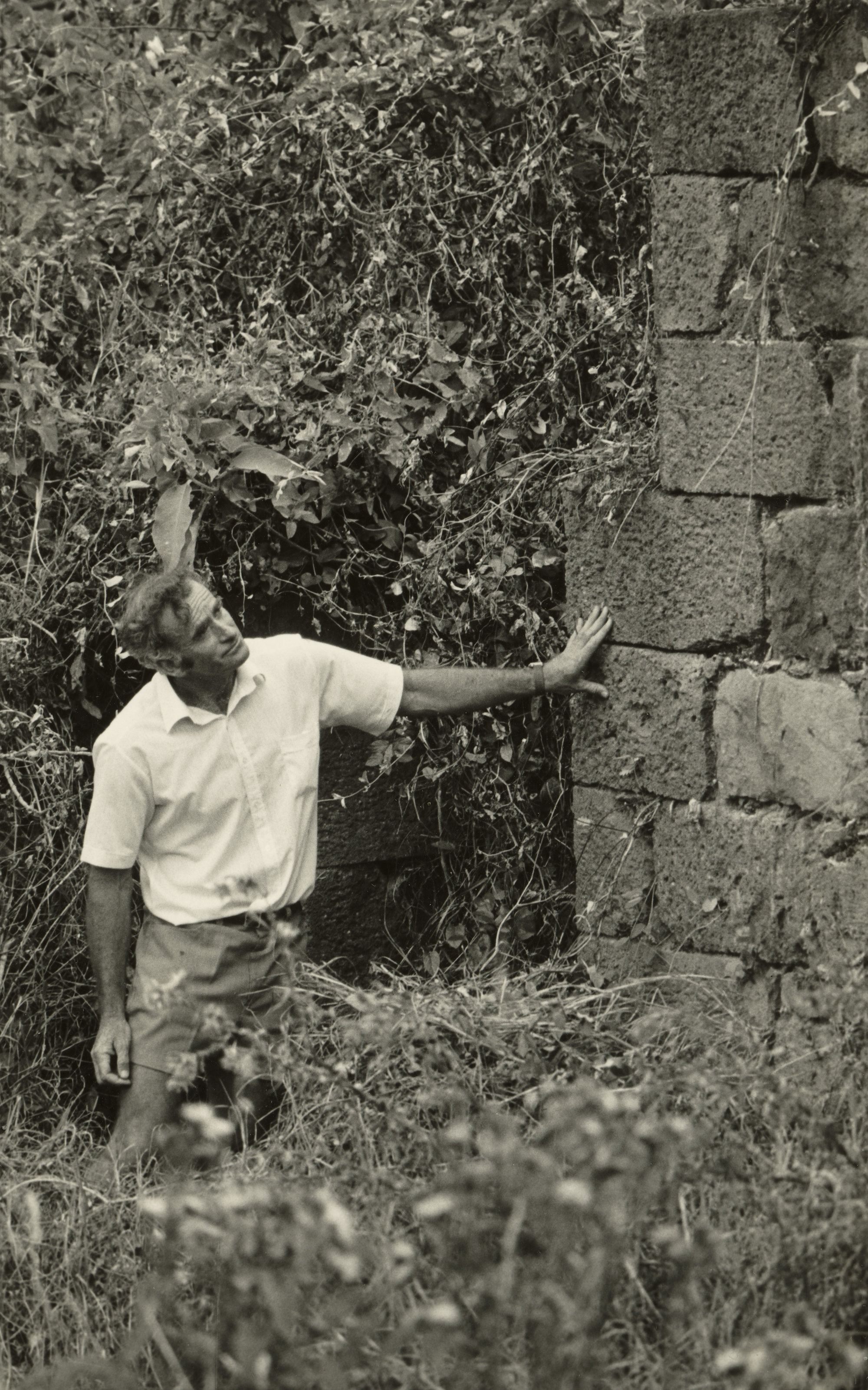 Part of the Old Flour Mill at Brewery Bridge Road, Whangarei