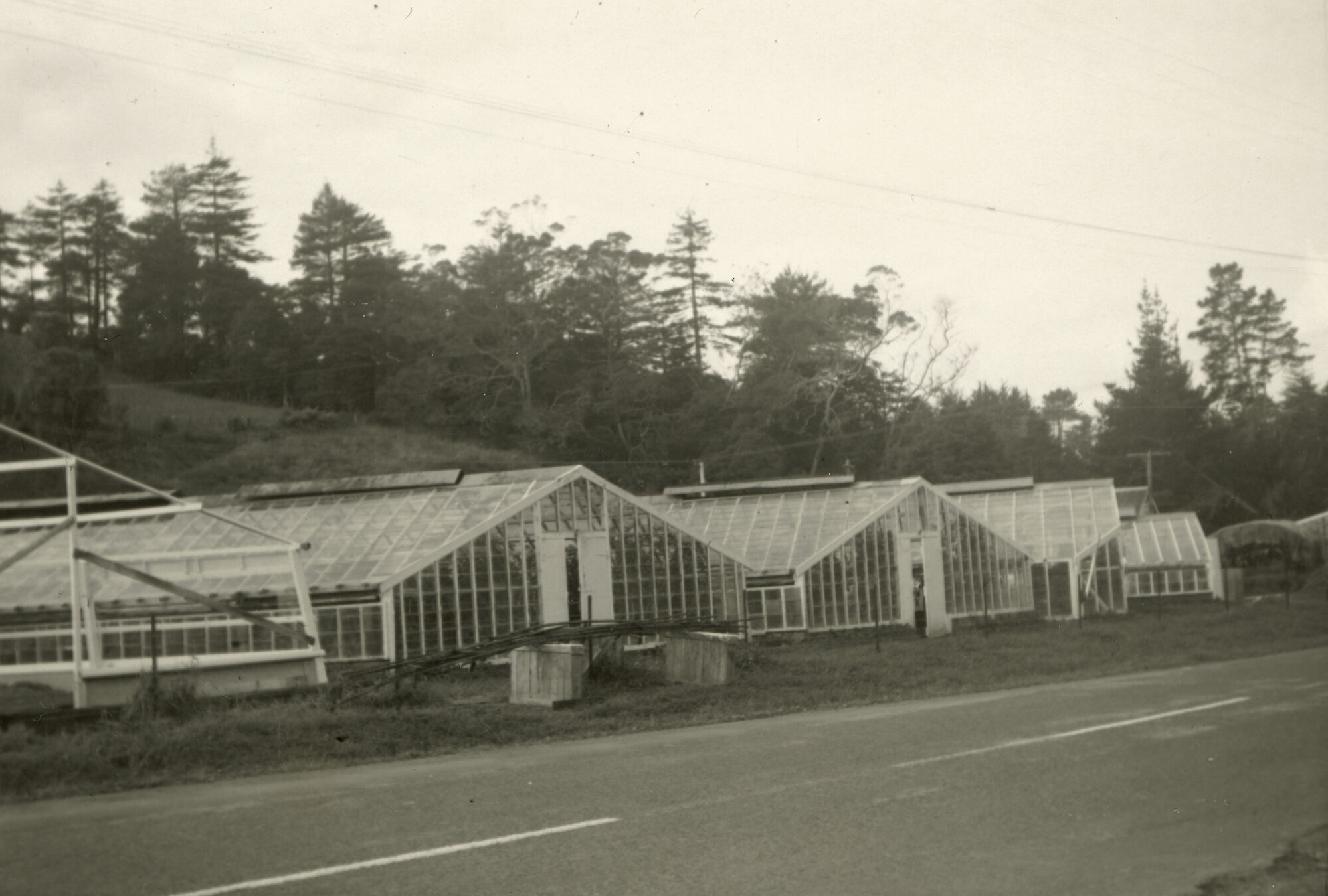 Cameron's Glass Houses, Maunu Road, Whangarei