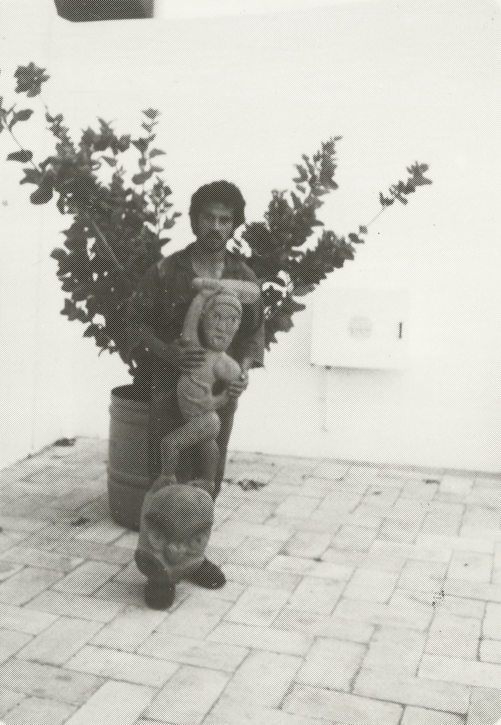 A Carving for the Whare Whakairo at Heritage Park