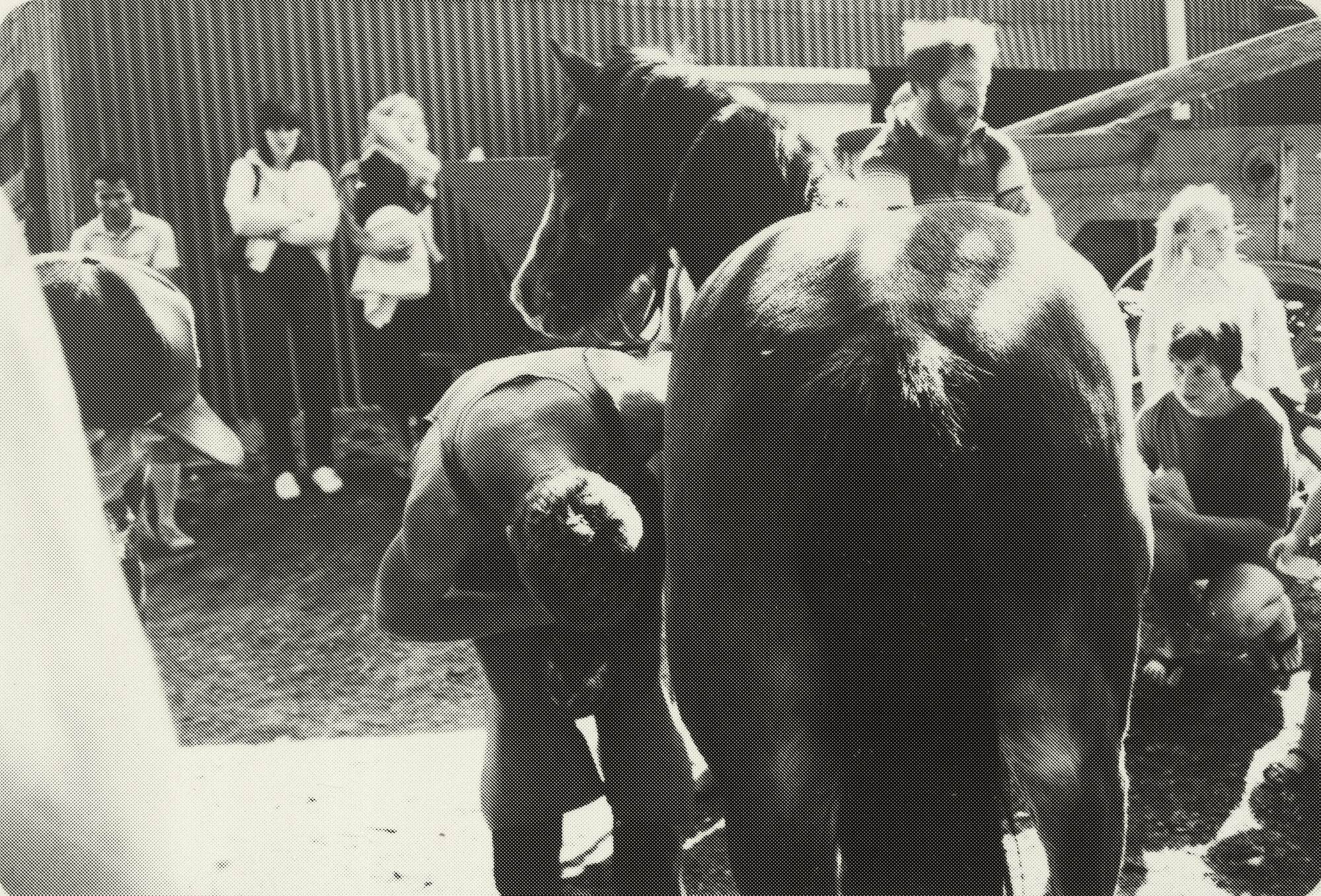 Blacksmith Shop at Heritage Park