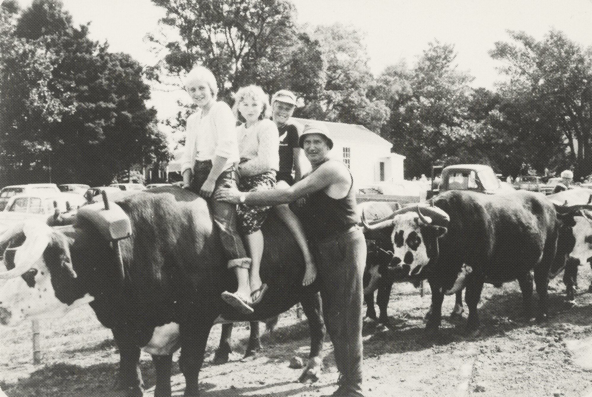 Live Day at Heritage Park