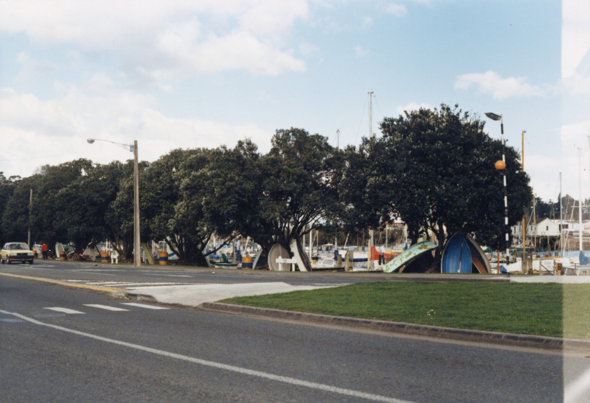 Row of Pohutukawa trees at Whangarei's Town Basin