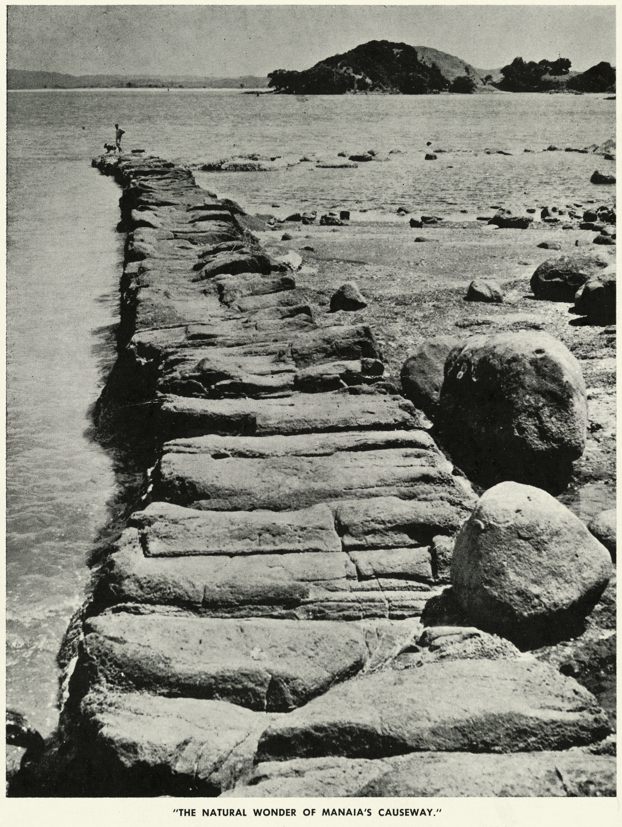 The Natural Wonder of Manaia's Causeway