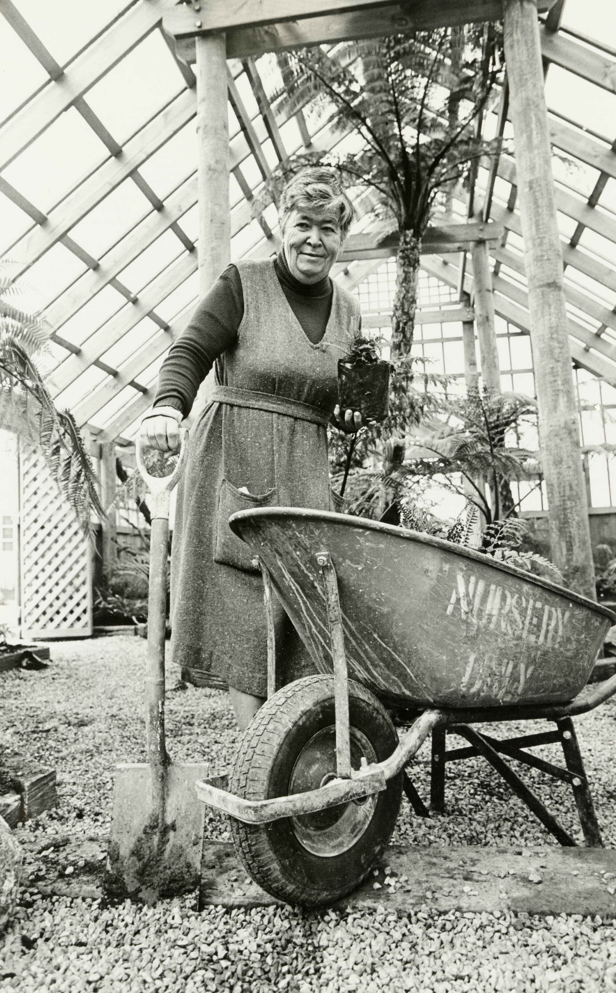 Marjorie Maddren Preparing for the Opening of the Marge Maddren Fernery