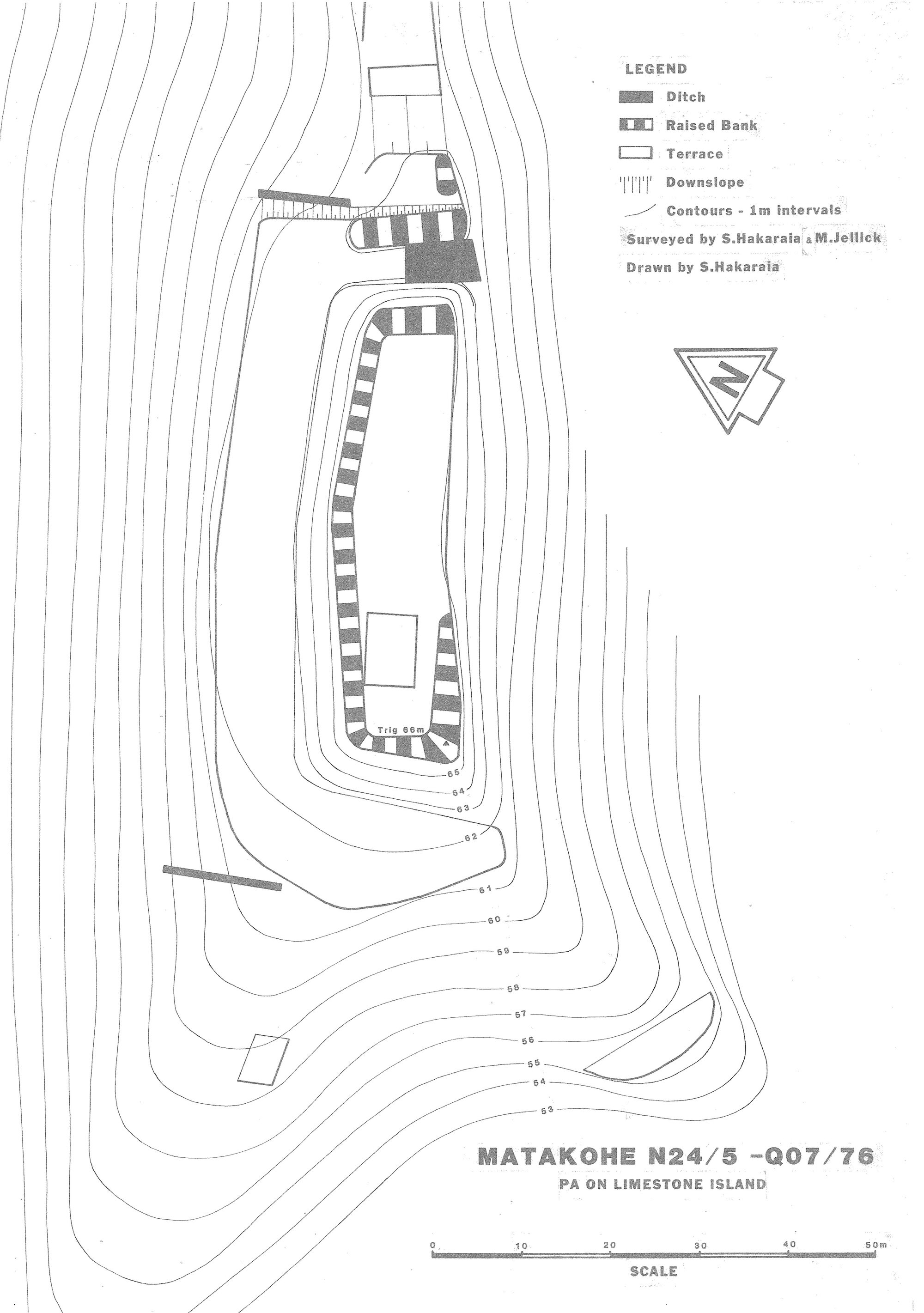 Matakohe N24/5 - Q07/76 Pa on Limestone Island 