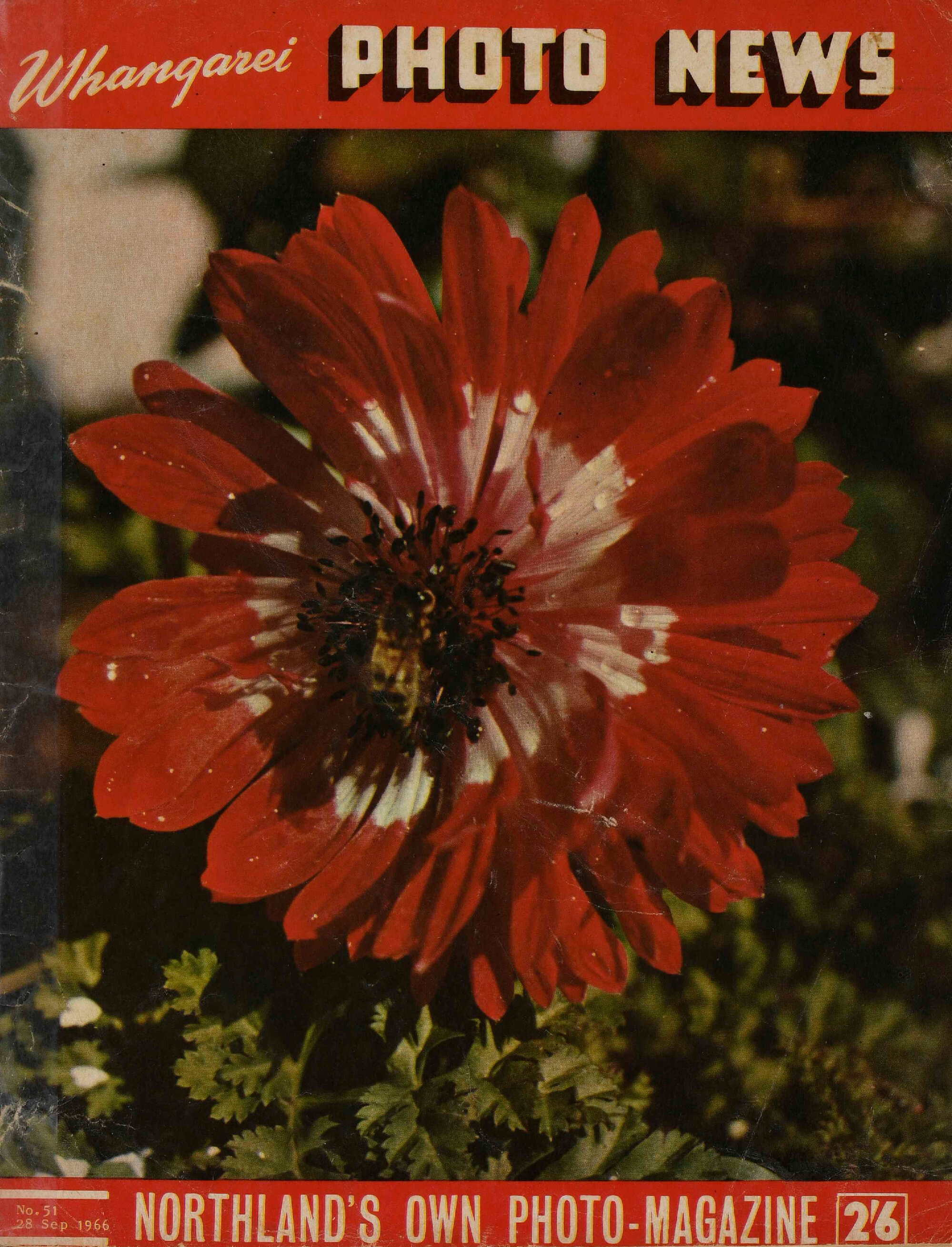 Whangarei Photo News September 1966