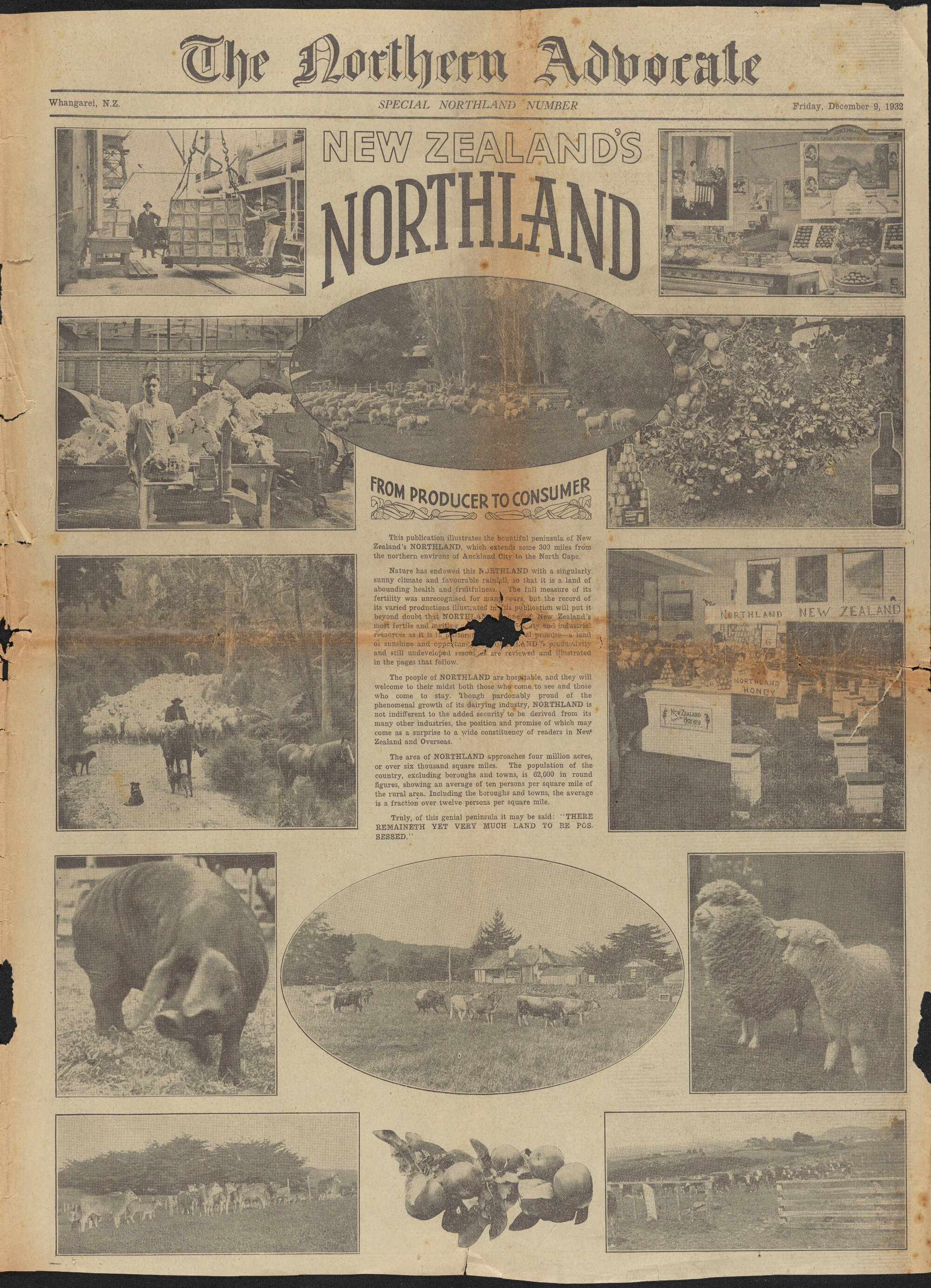 New Zealand's Northland from Producer to Consumer