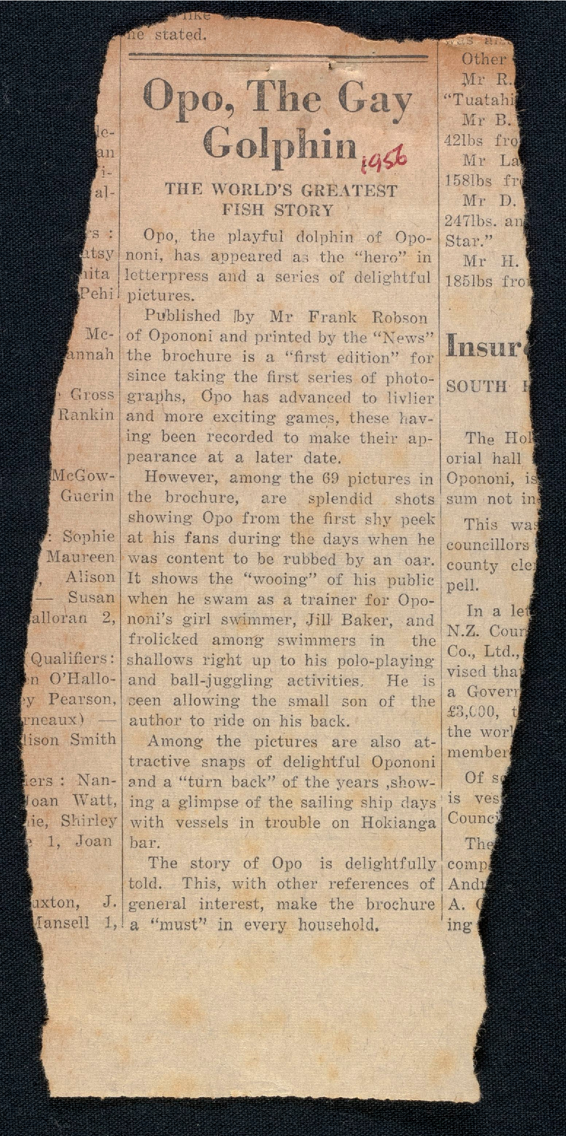 Opo, the gay golphin