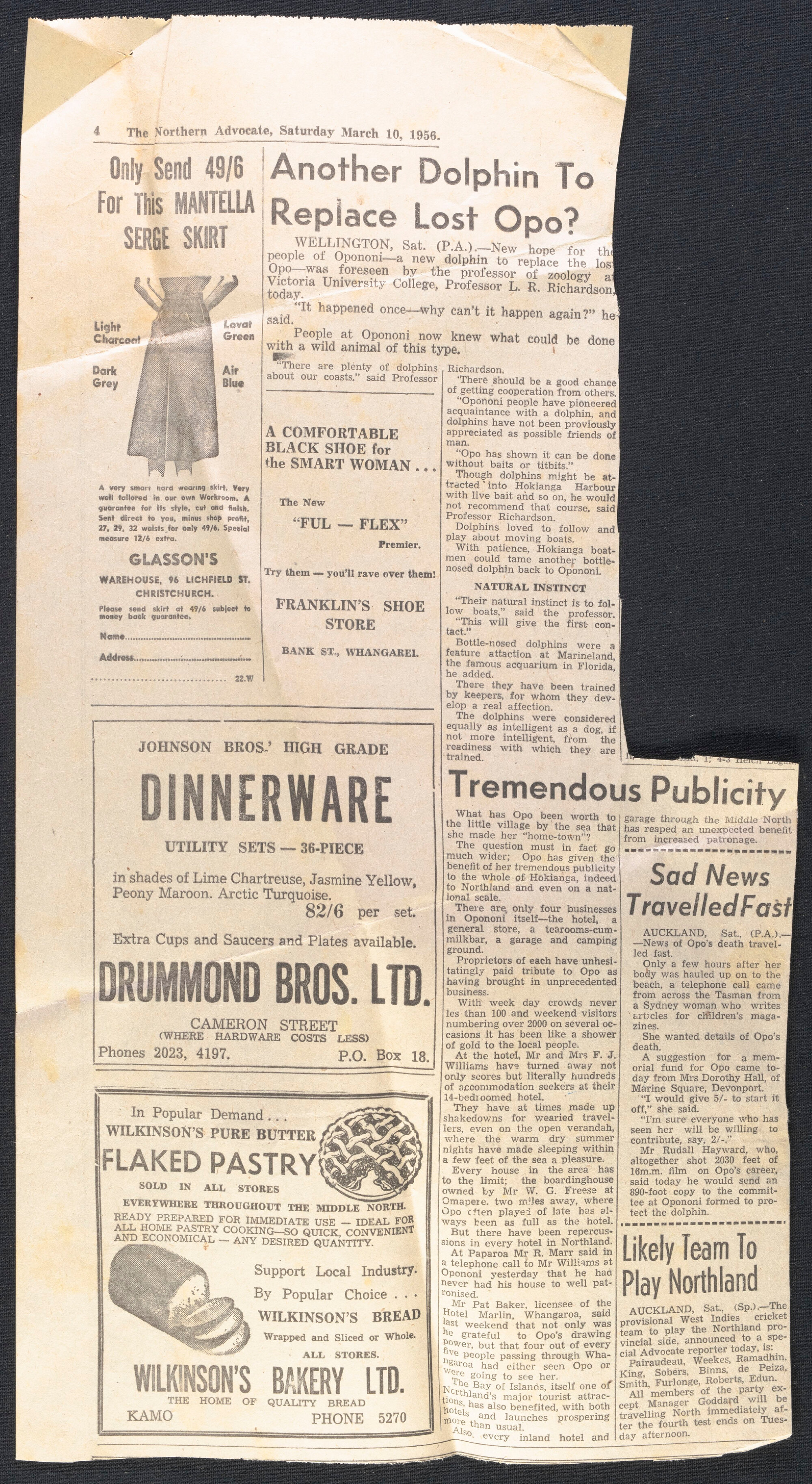 Another dolphin to replace lost Opo?