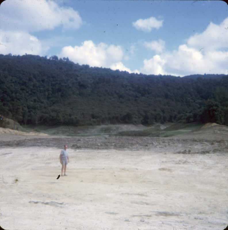 Picnic Area Whau Valley in background