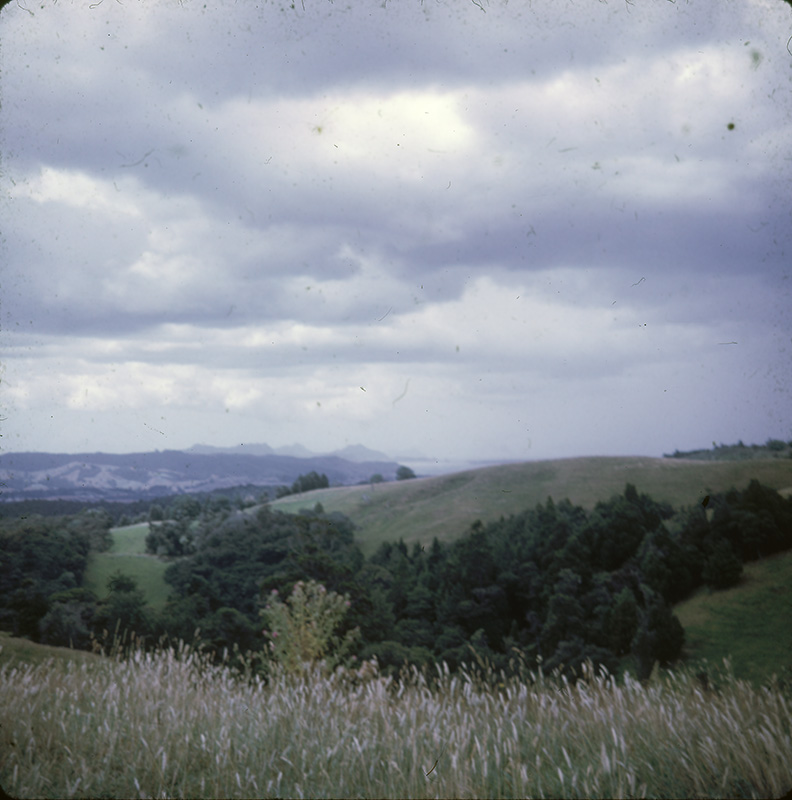 Harbour from above Dam