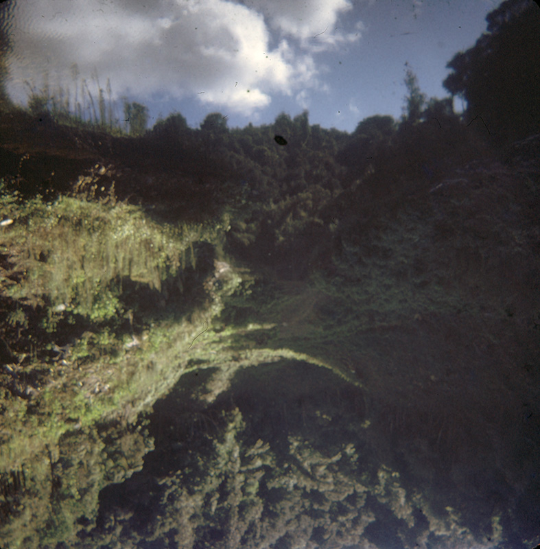 Upper Whau Valley Dam