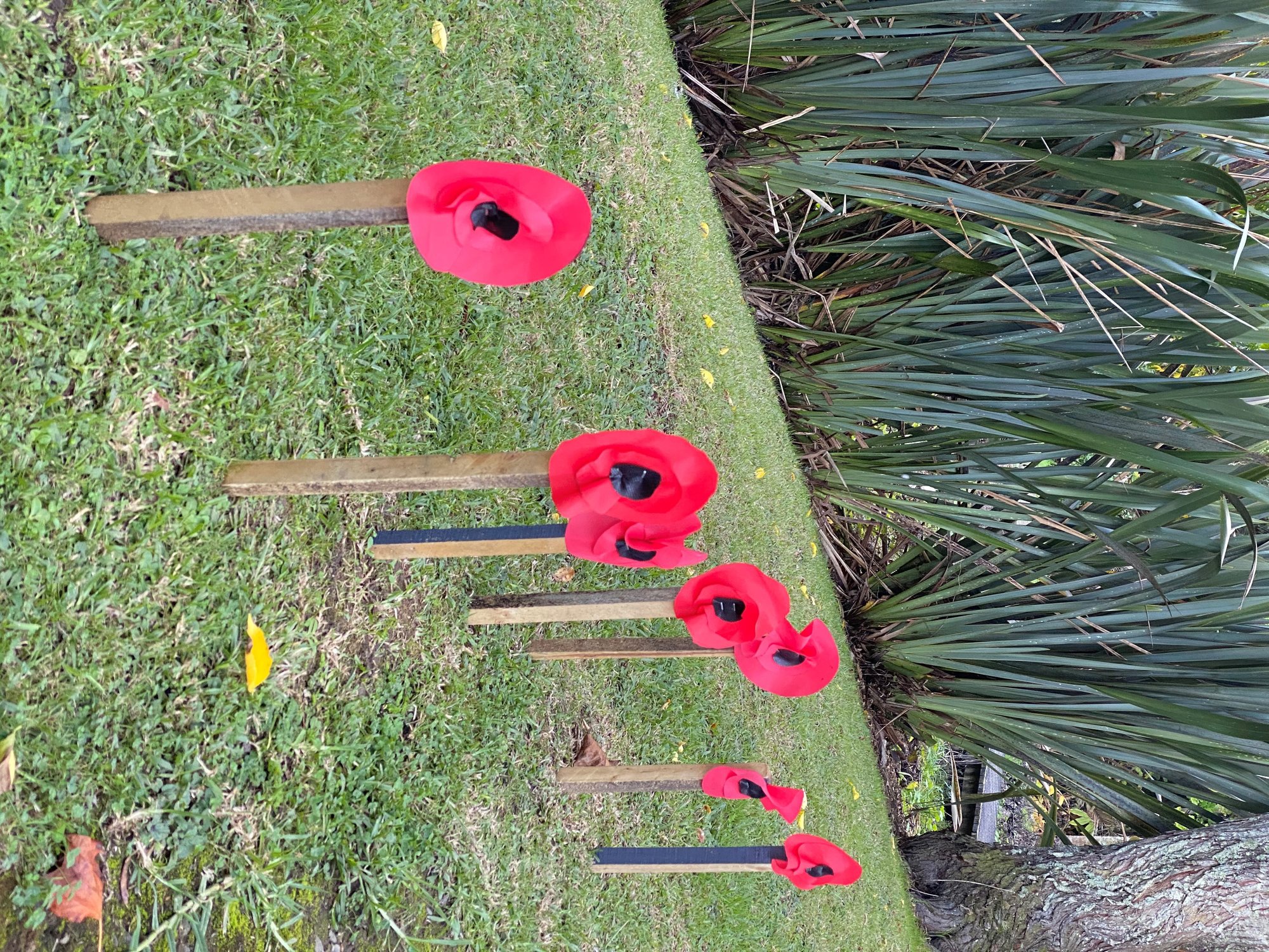 Entrance of Coronation Track Whangarei