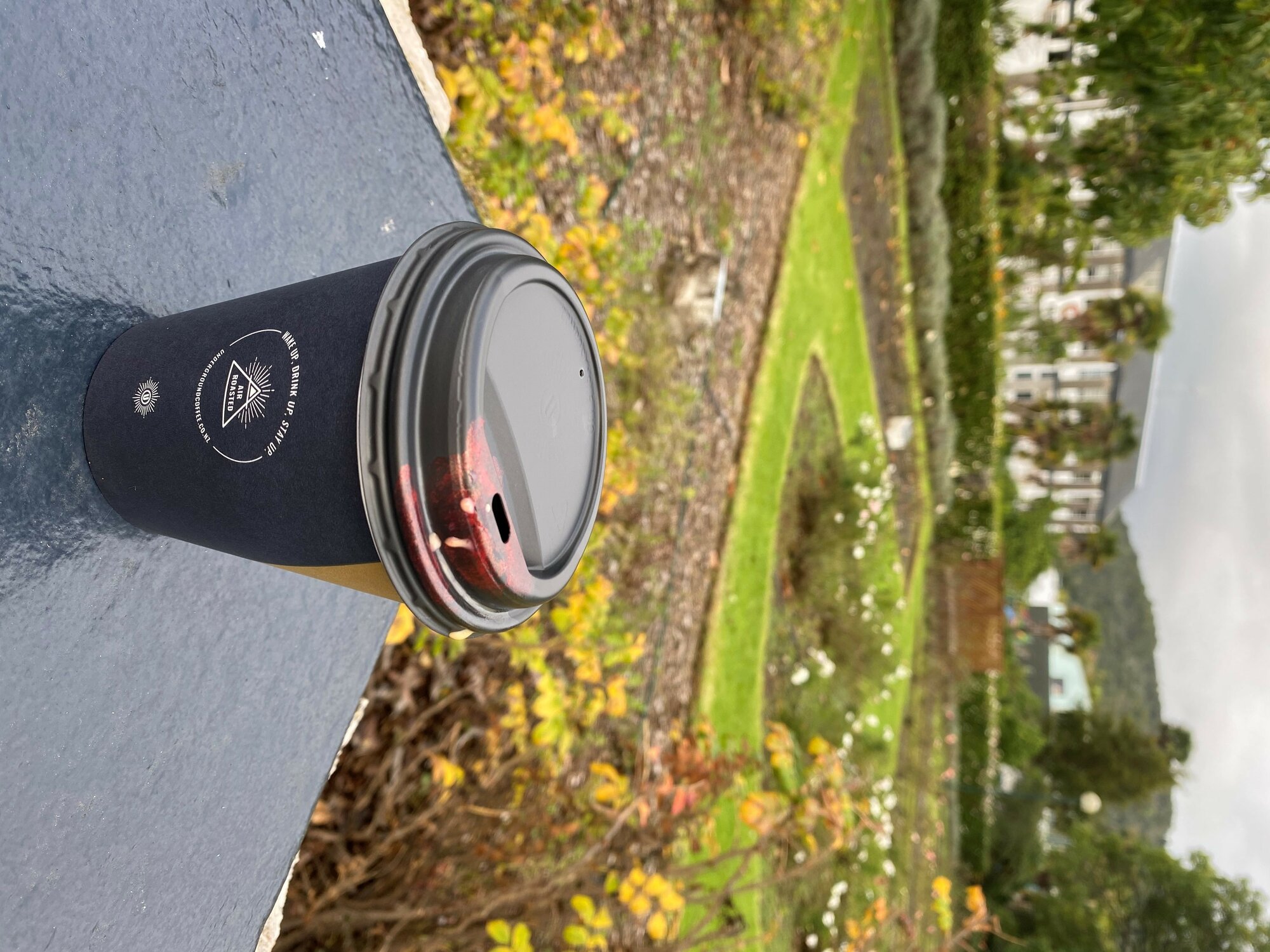 Rose Garden  from Water Street Whangarei