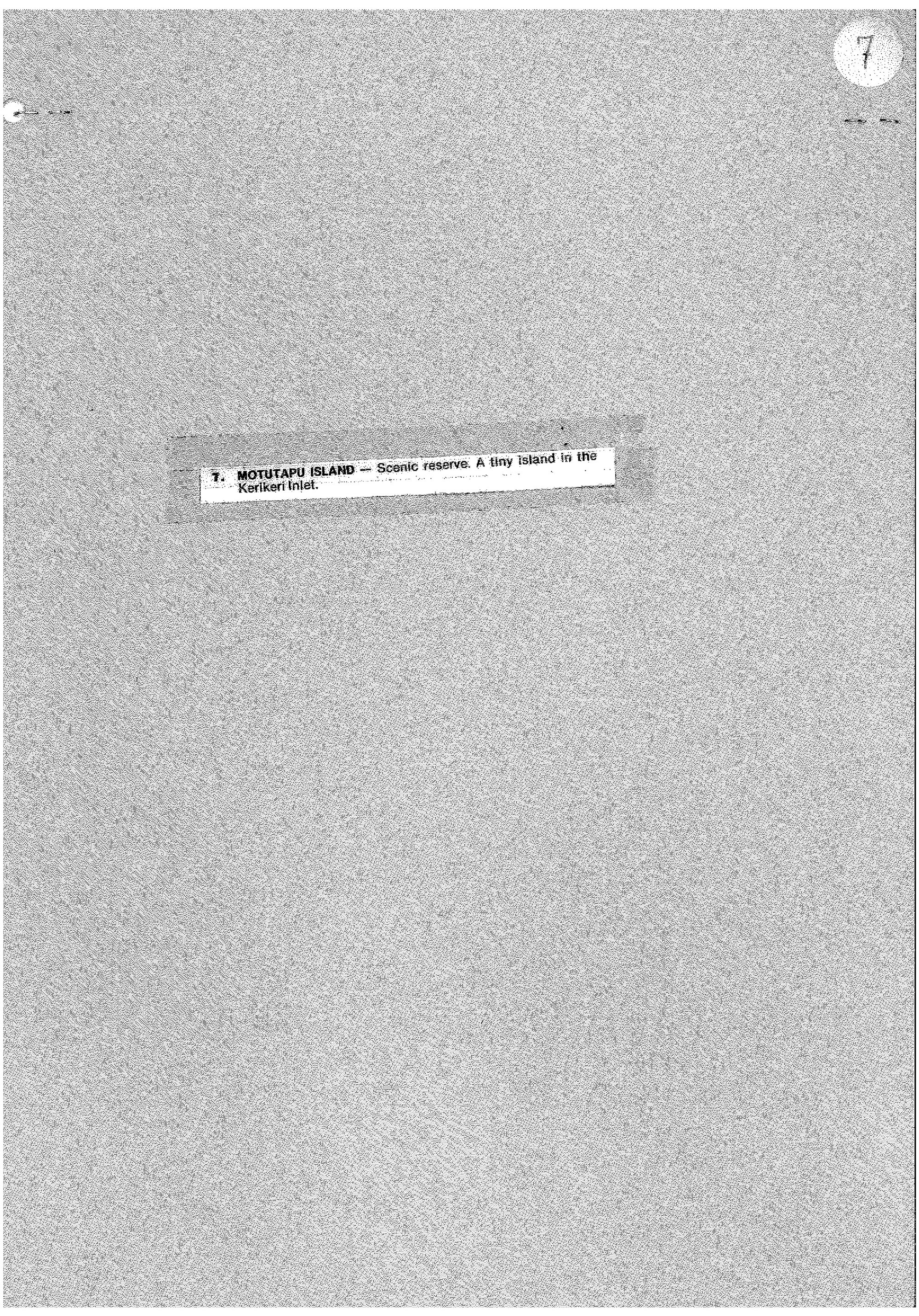 Motutapu Island