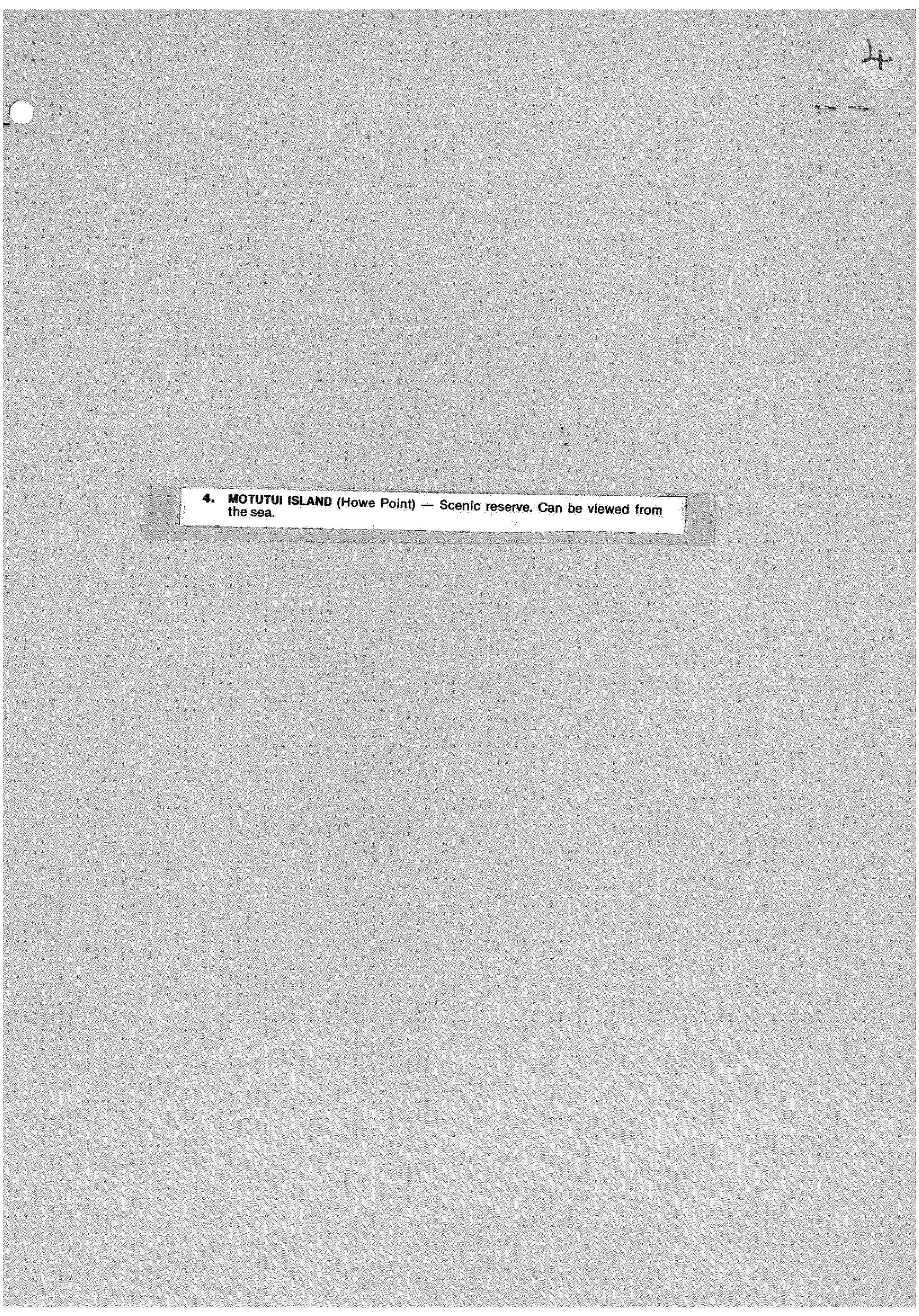 Motutui Island (Howe Point)