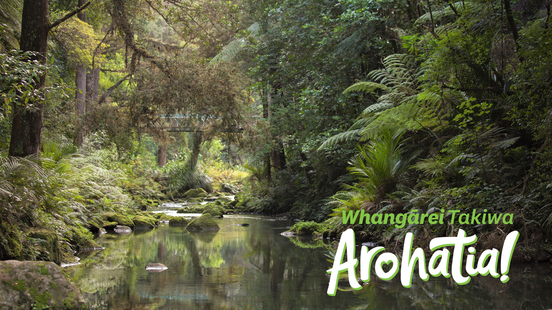 Whangarei Takiwa Arohatia Digital Backgrounds