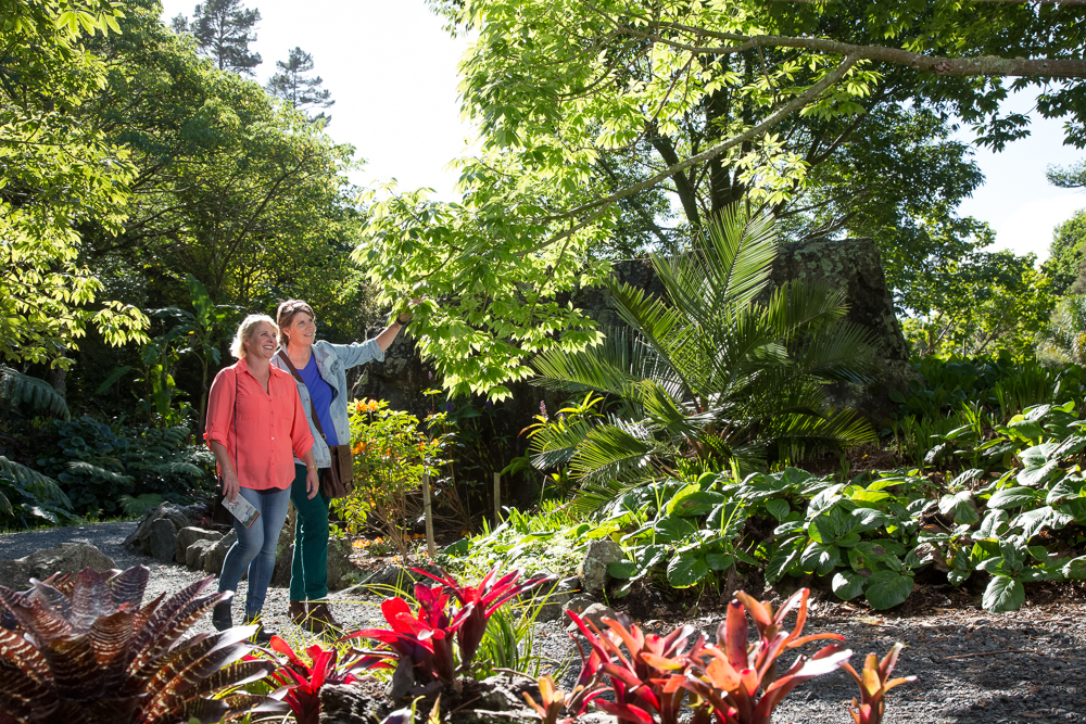 Whangarei Quarry Gardens