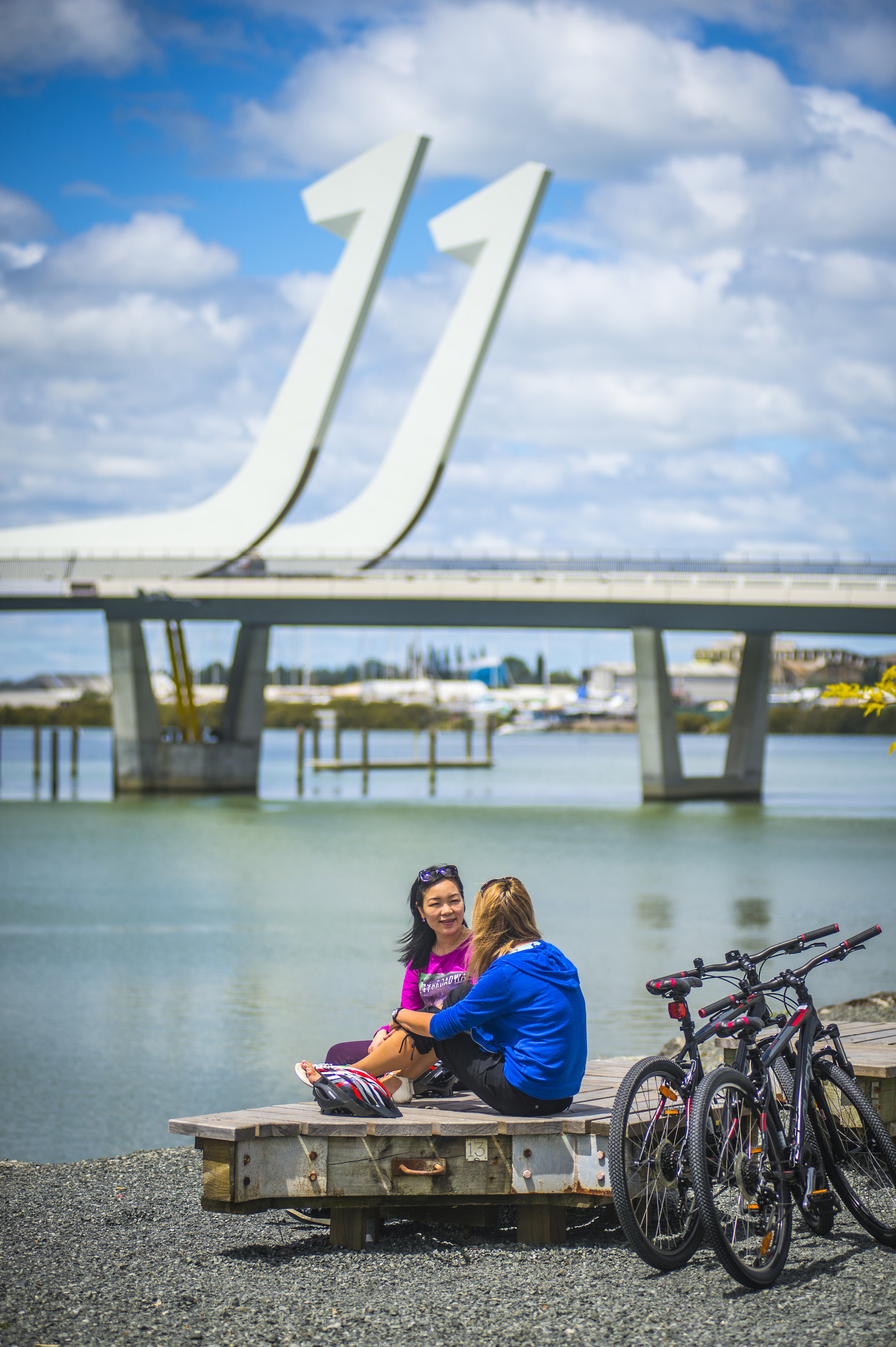 The Hatea Loop &ndash; Huarahi o te Whai (Pathway of Opportunity)