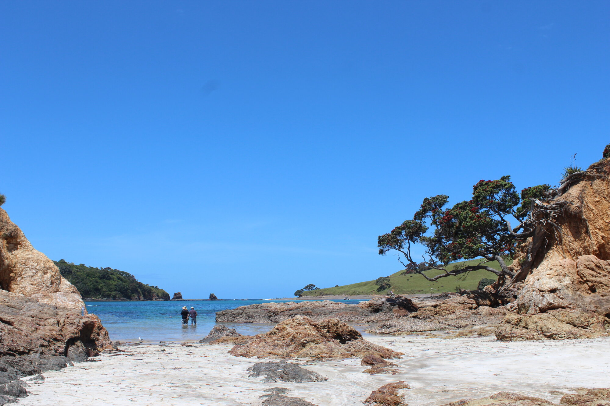 Bland Bay, Whangaruru