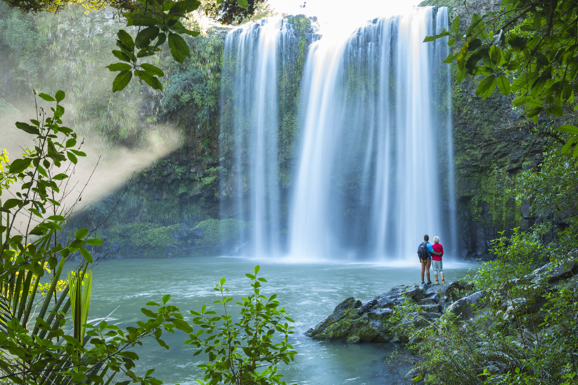Otuihau - Whangarei Falls