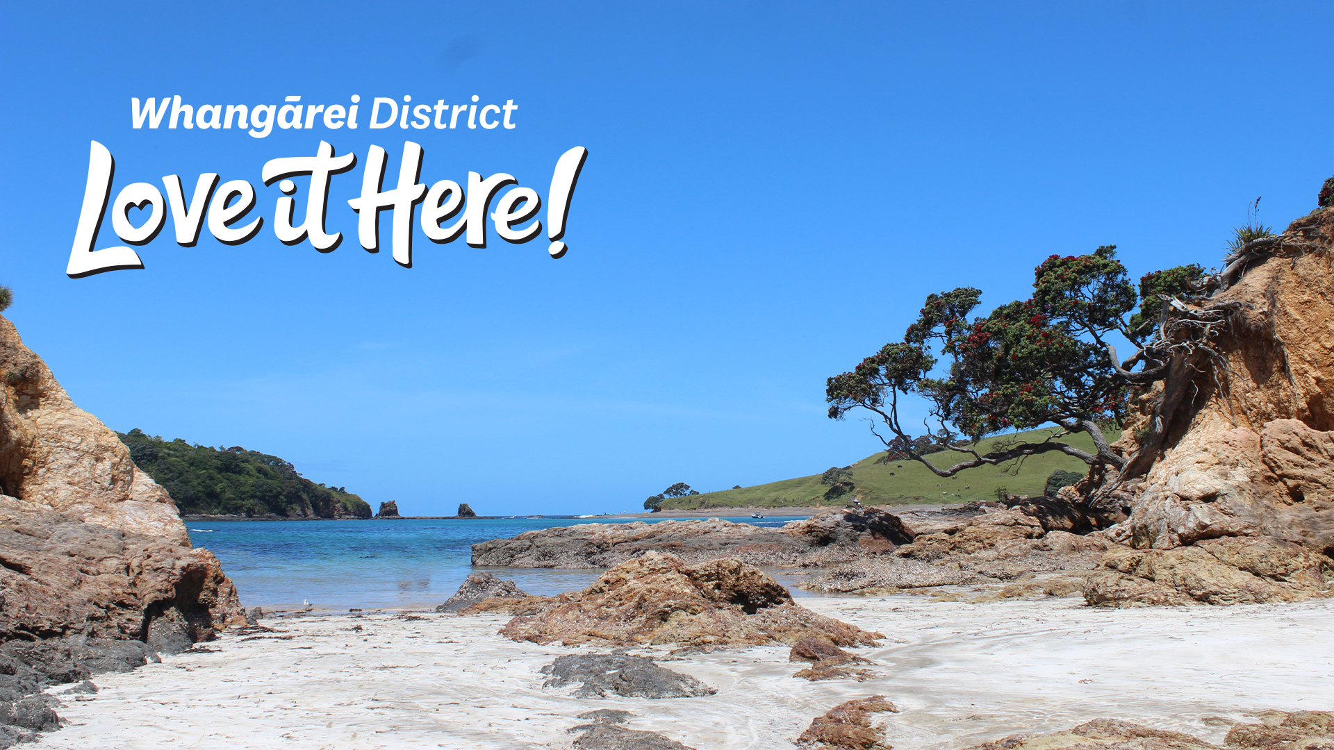 Whangarei District Love It Here Digital Backgrounds