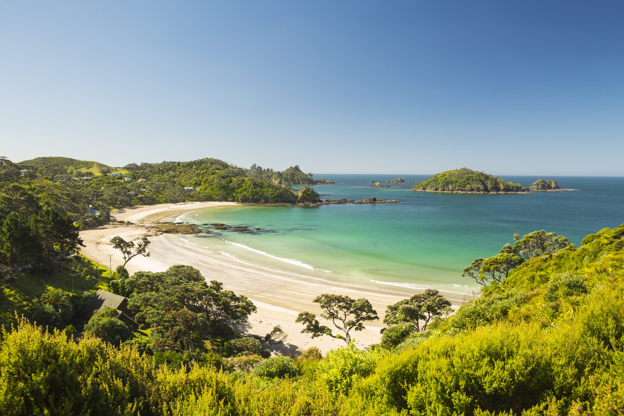 Moureeses Bay, Whananaki
