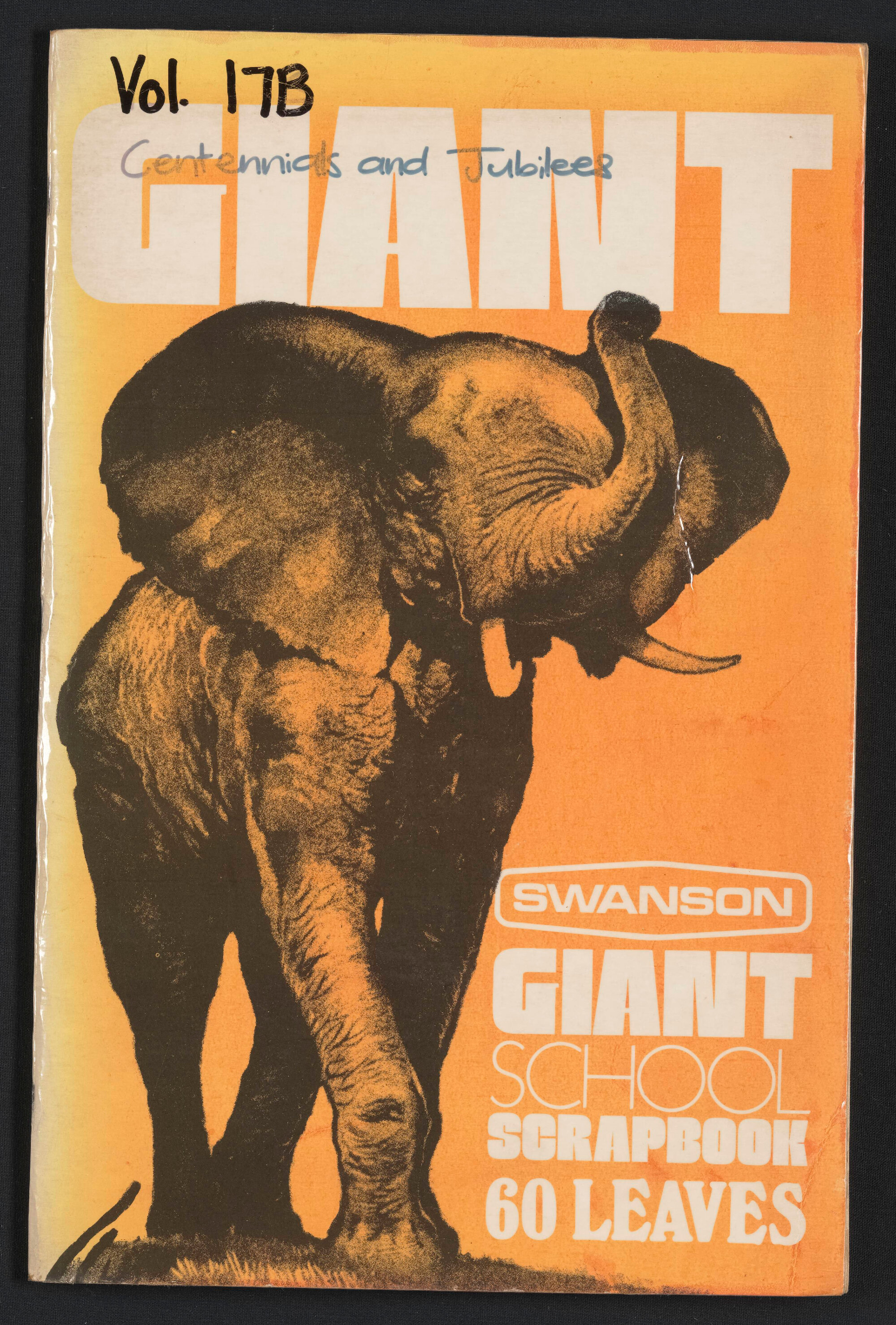 Florence Keene Scrapbook Volume 17B