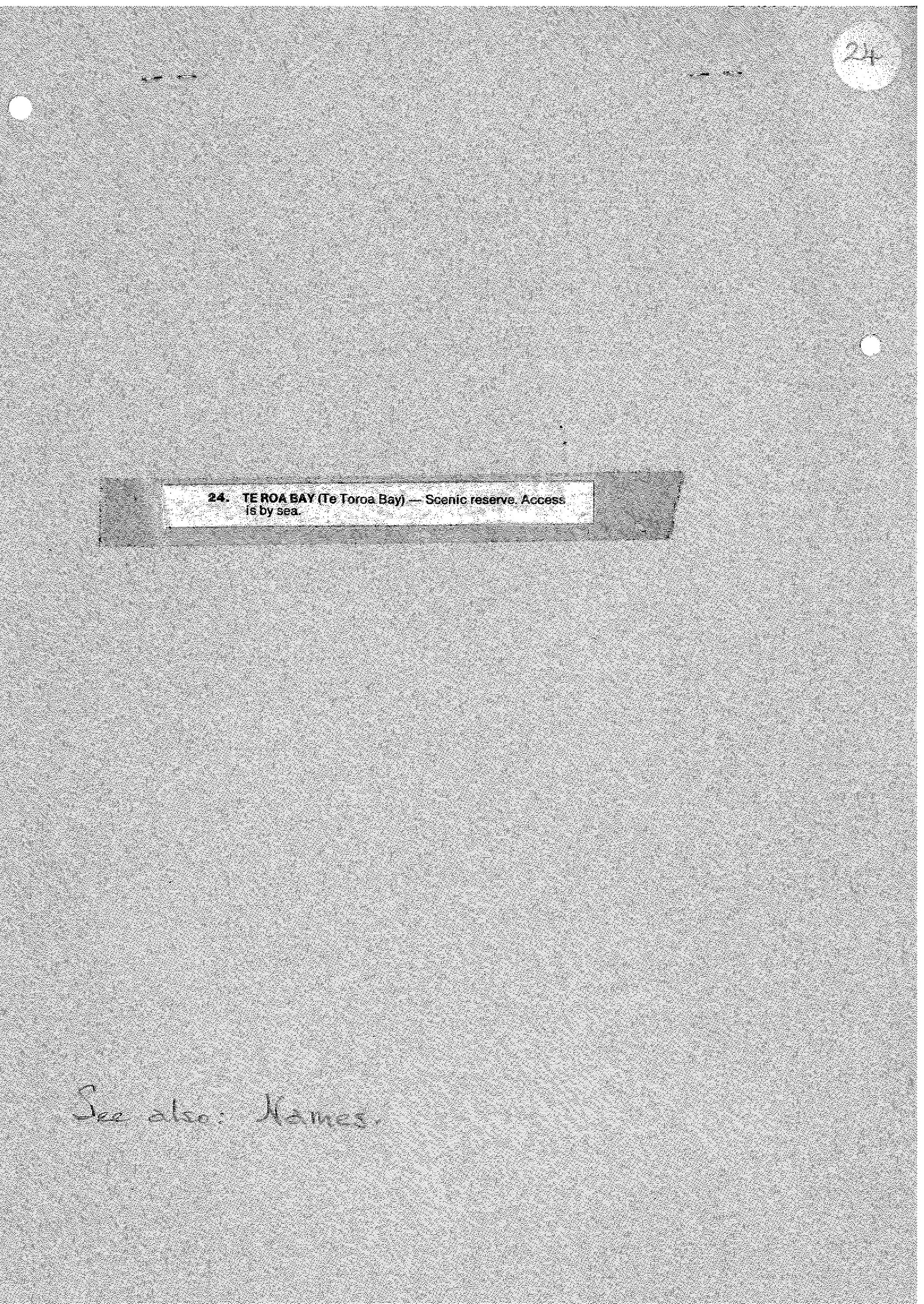 Te Roa (Te Toroa Bay)