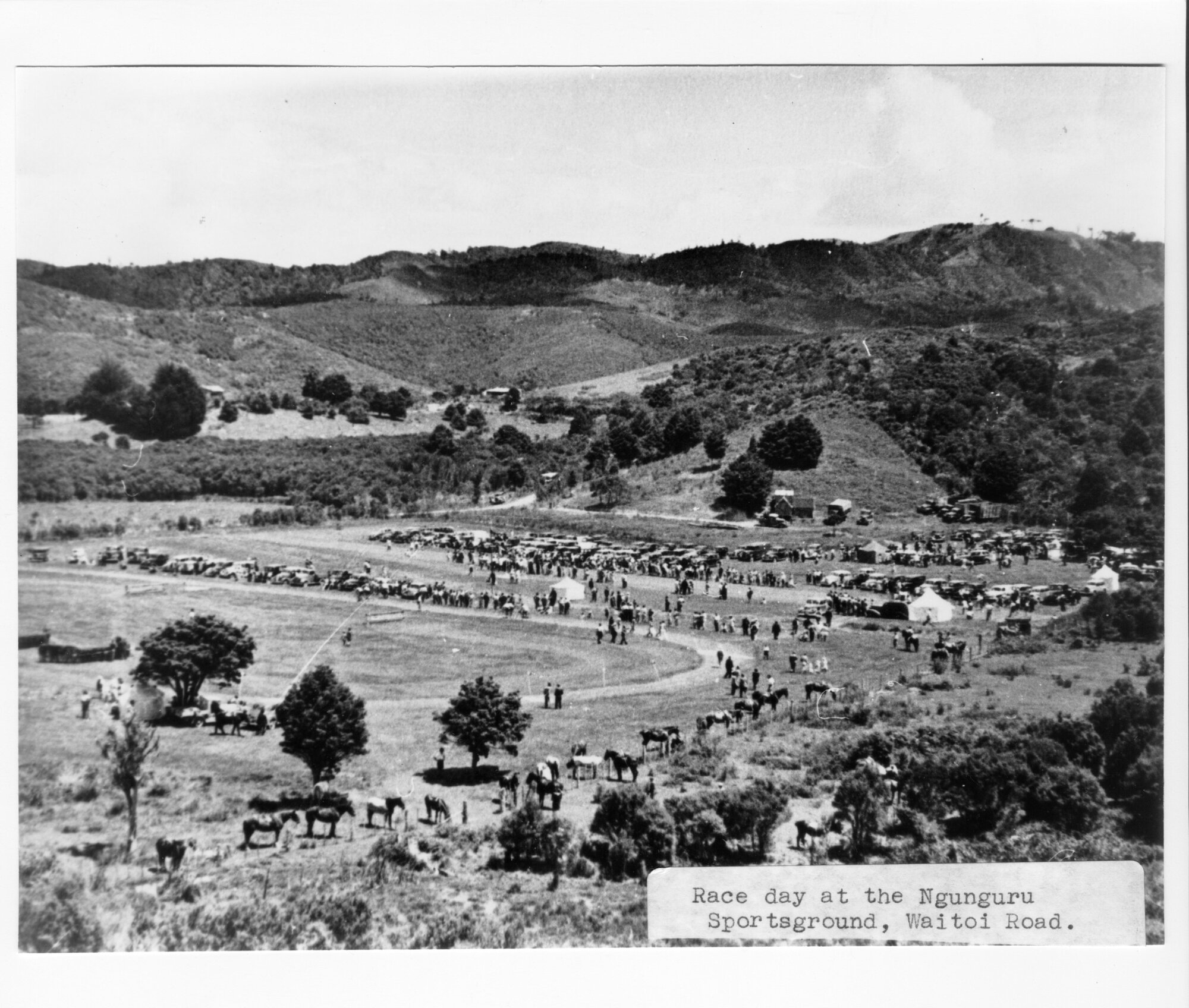 Race Day at Ngunguru Sportsground, Waiotoi Road