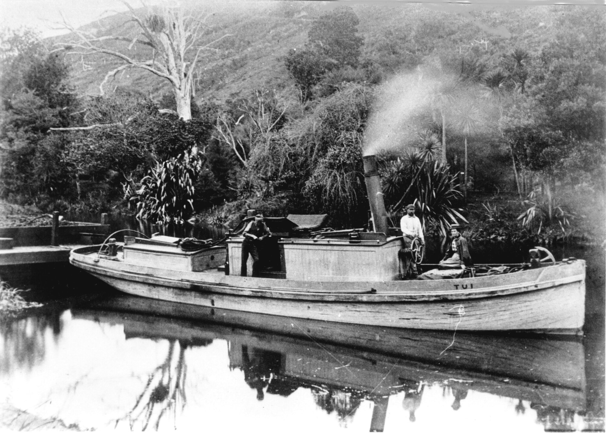 Tug 'Tui' Towing Coal Barge