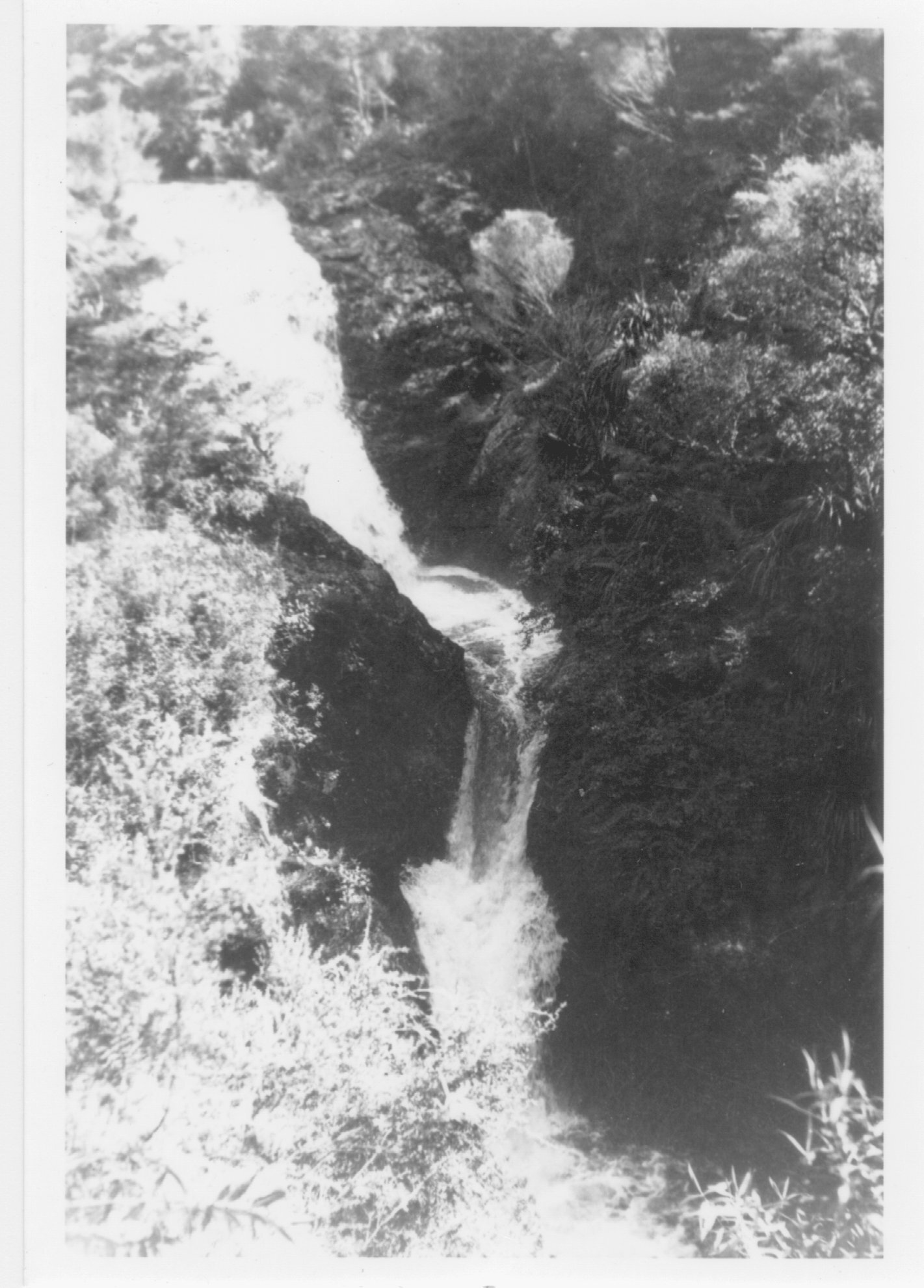 Waterfall on Ngunguru River