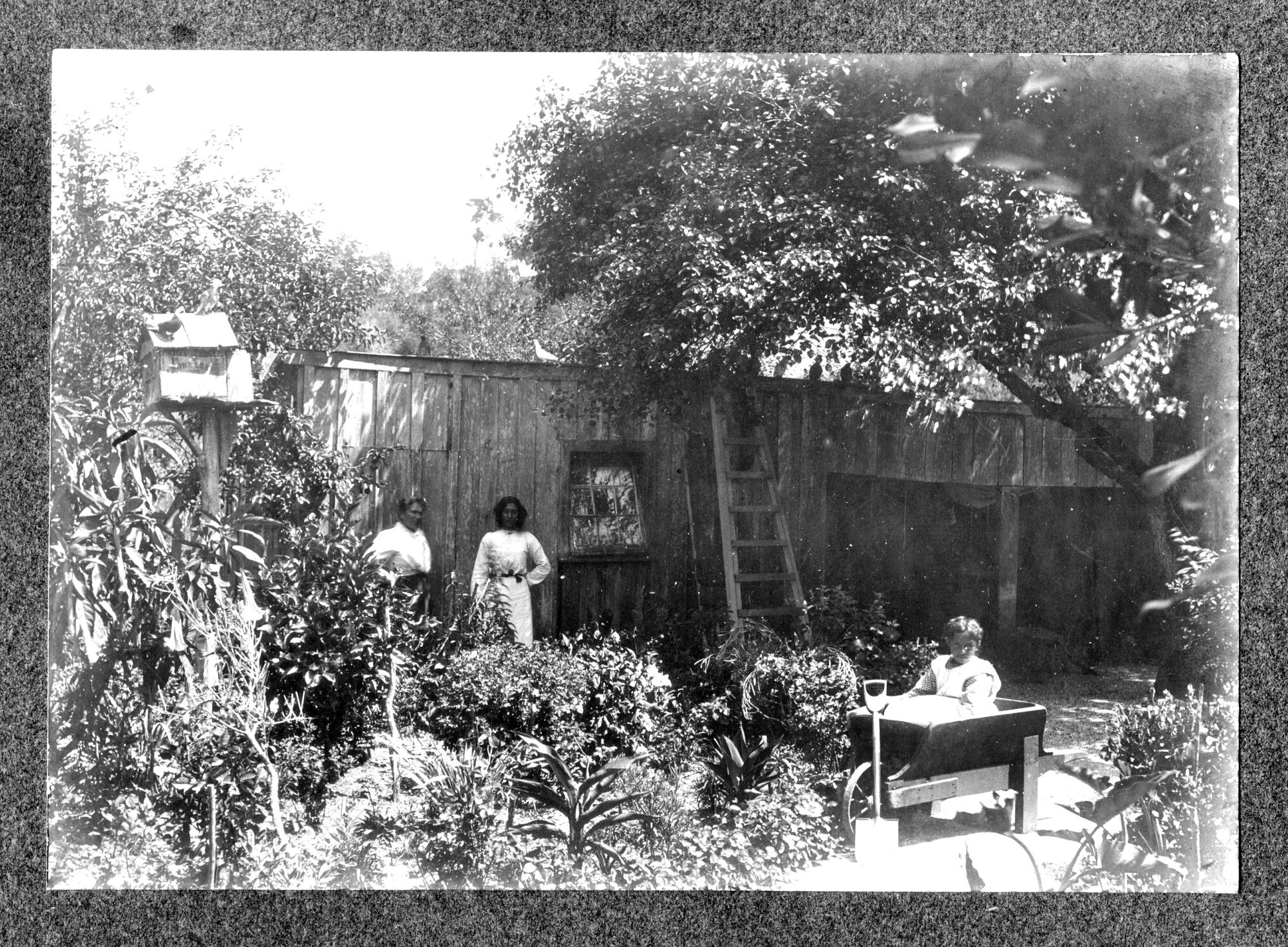 Outbuildings at Peter and Annie Brown's Home Near Ngunguru Hotel