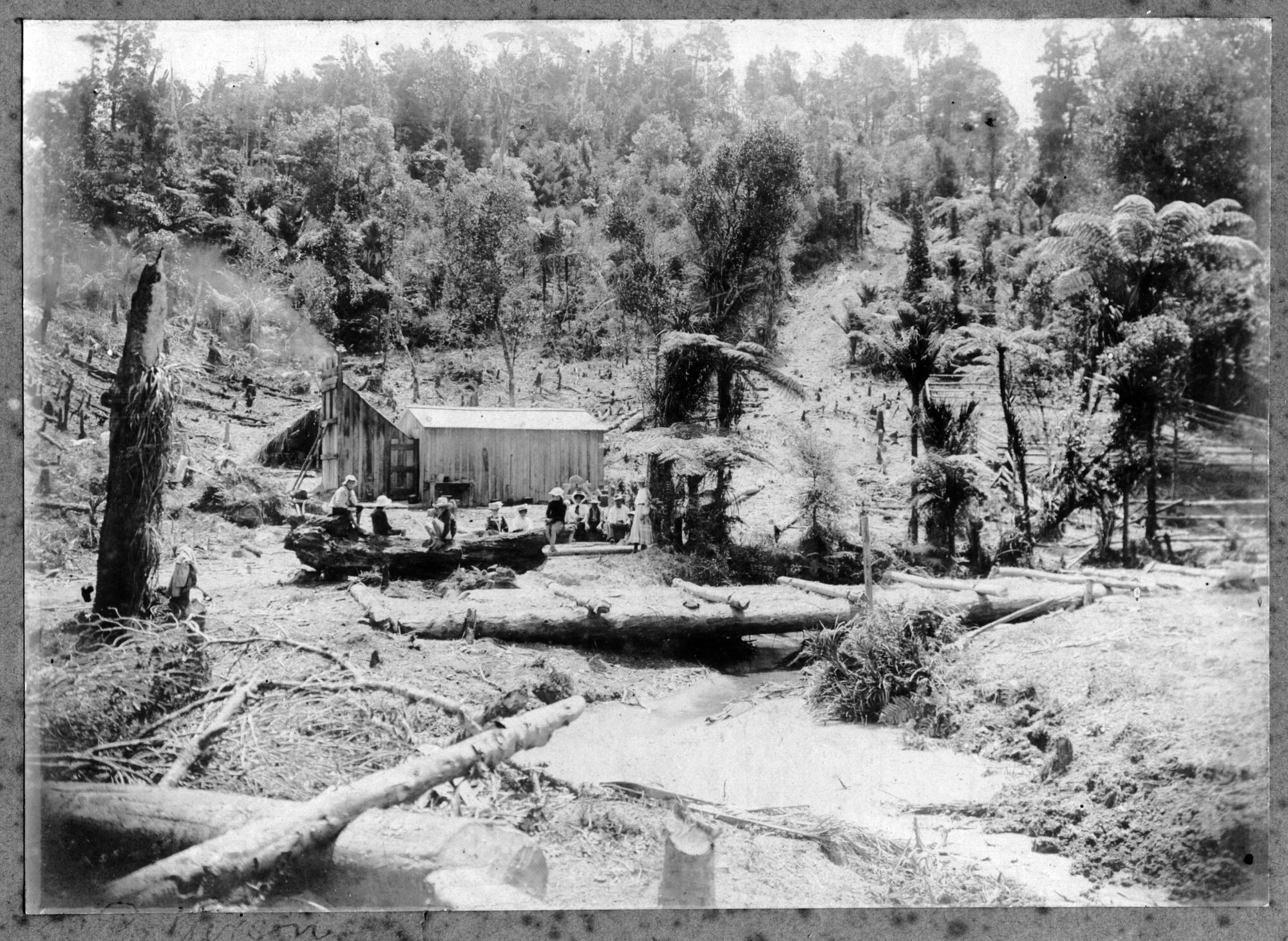 Could be Mill Site at Ngunguru? The Mill Closed in 1923