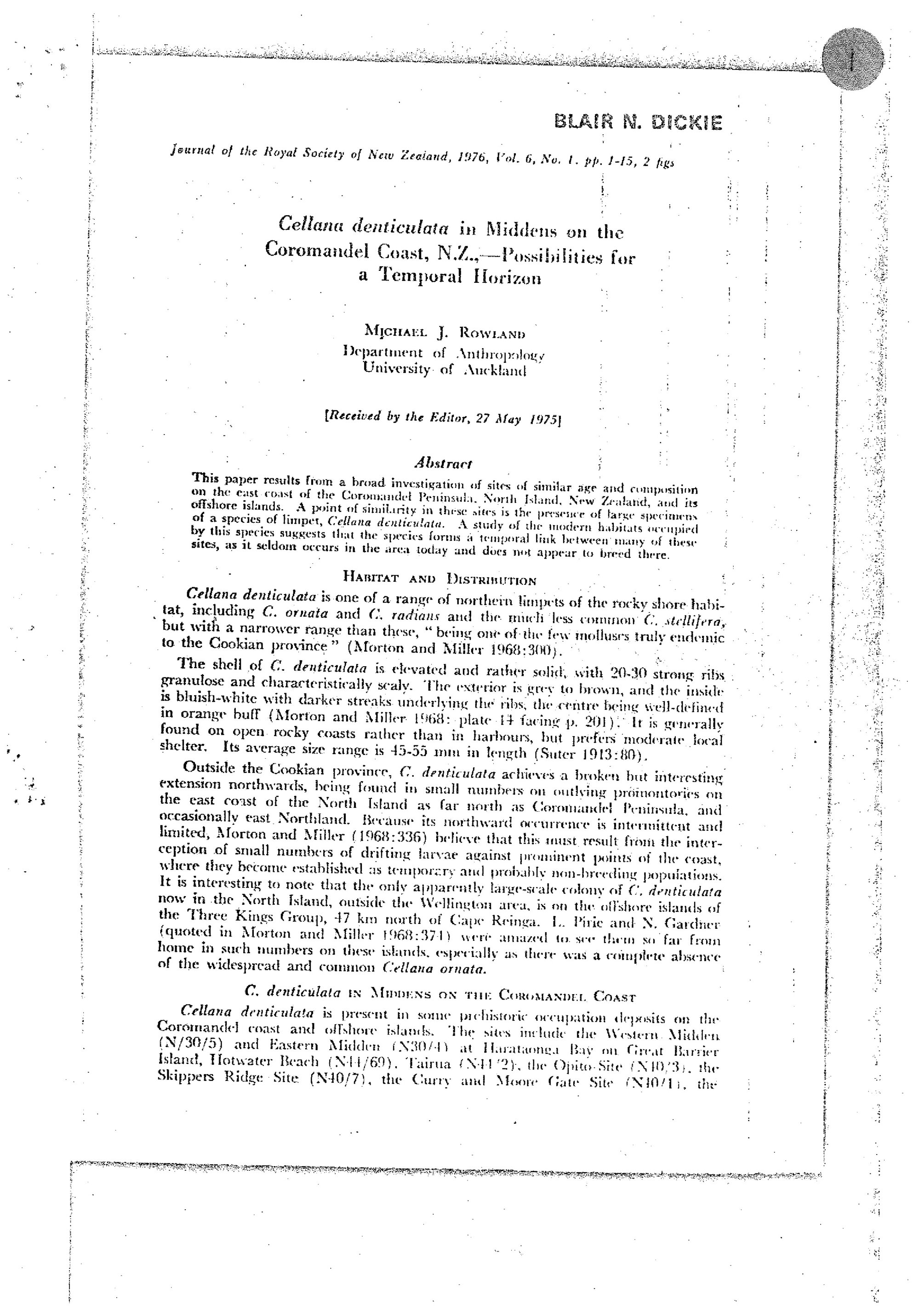 Cellana denticulata in Middens on the Coromandel Coast, NZ-Possibilities for a Temporal Horizon