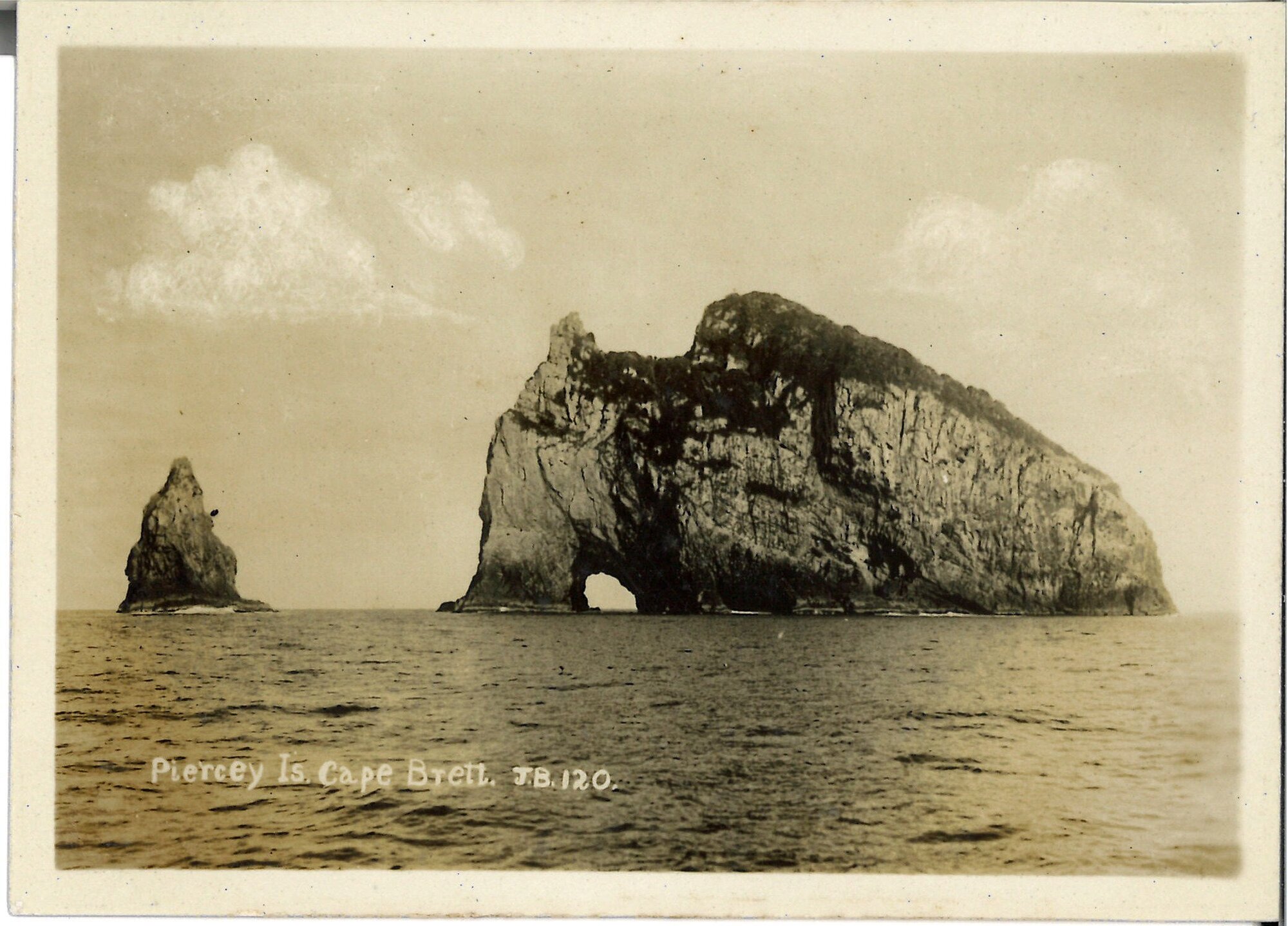 Piercey Island,  Cape Brett