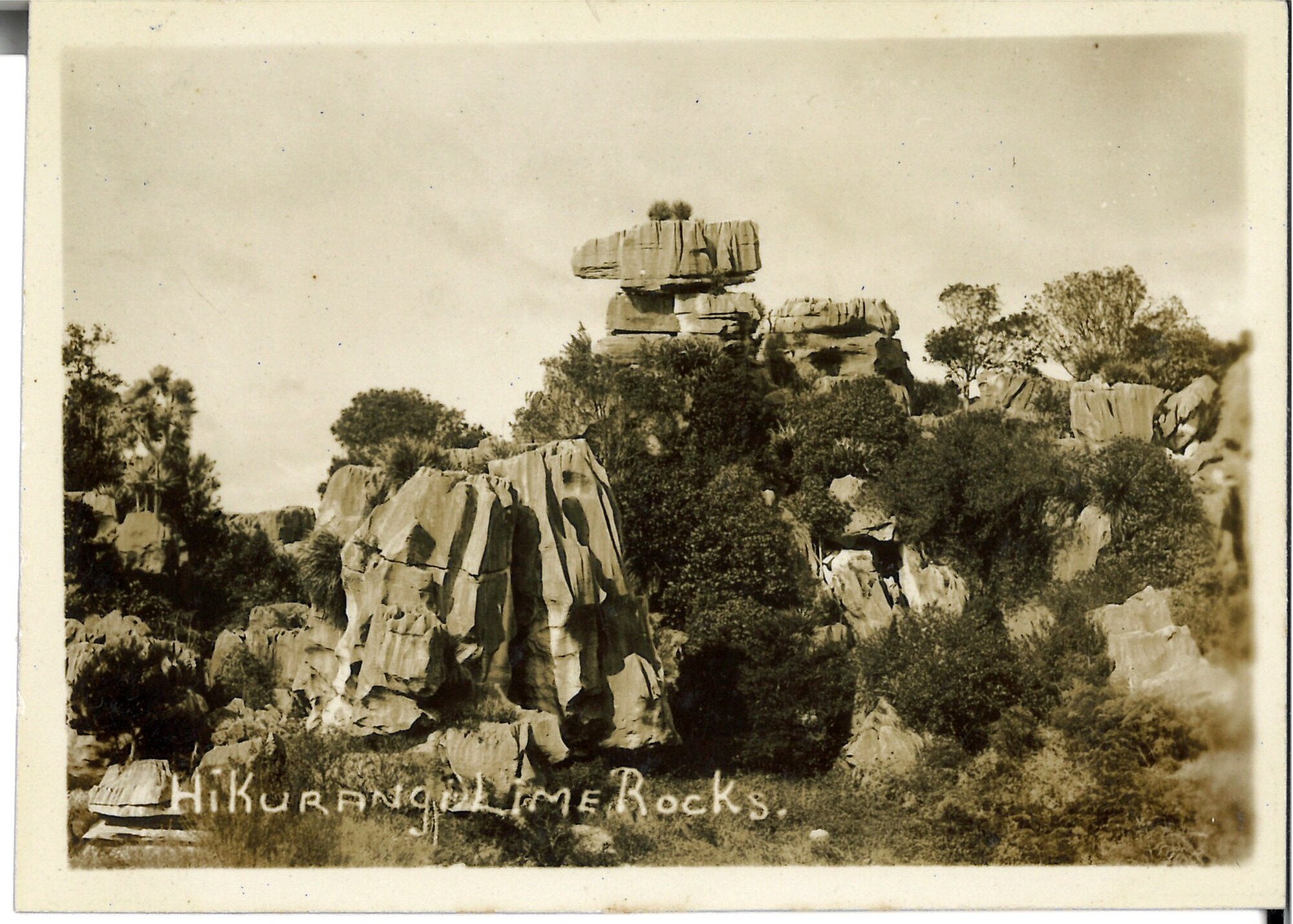 Hikurangi Lime rocks