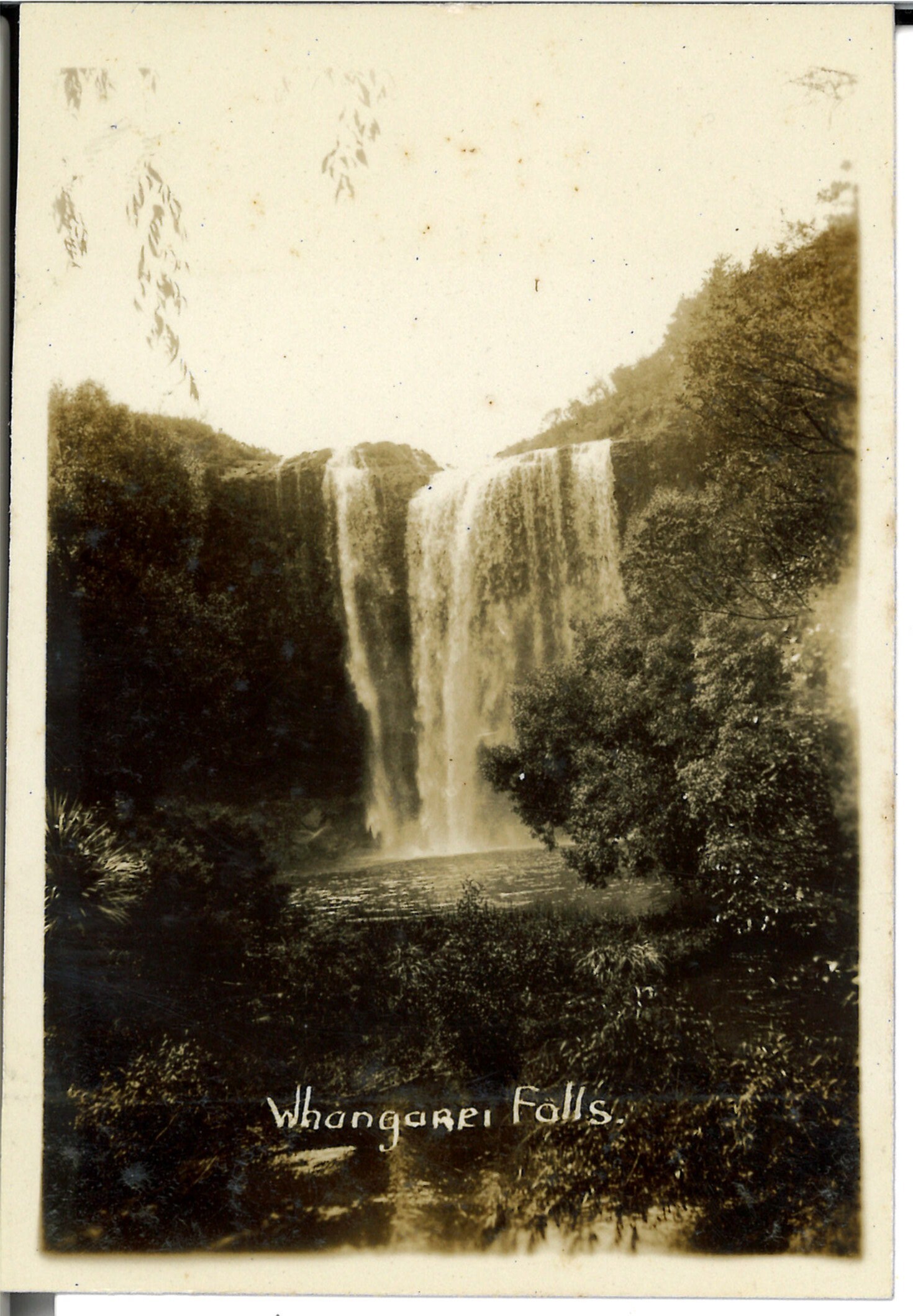 Whangarei Falls