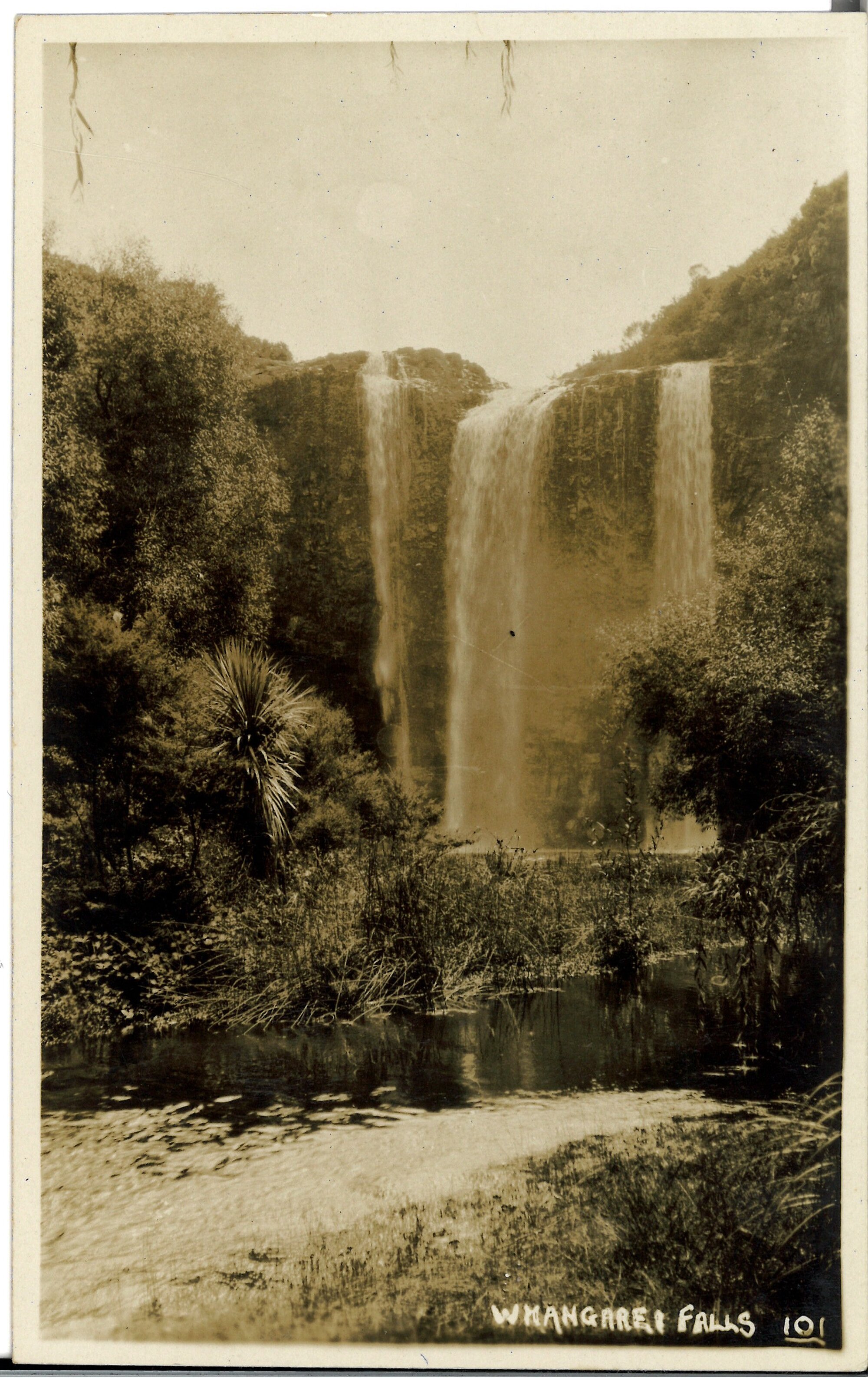Whangarei Falls