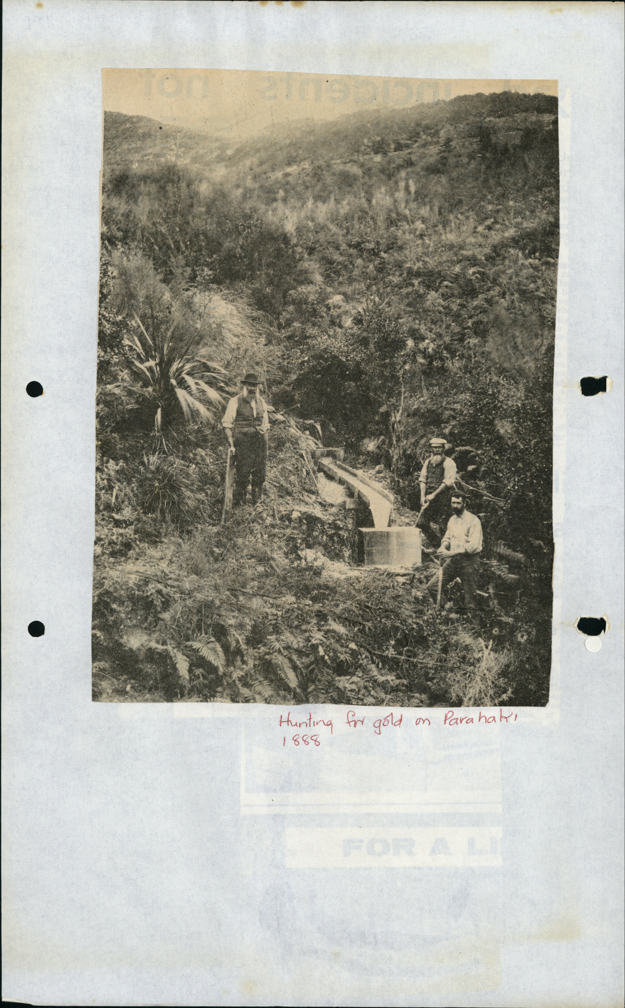 PN01.19Back Search for gold on the slopes of Parahaki